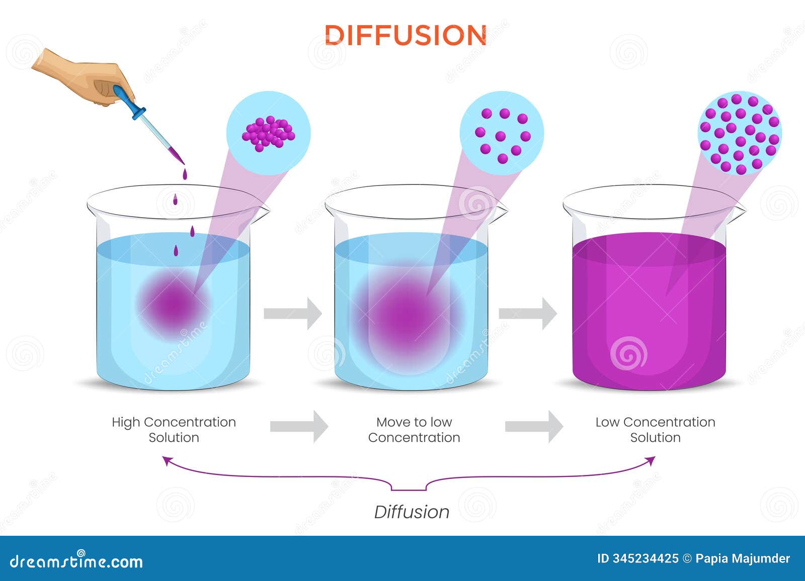 pH Scale – Measuring Acidity, Alkalinity \u0026 Hydrogen Ion Concentration, image size:1600x1156
