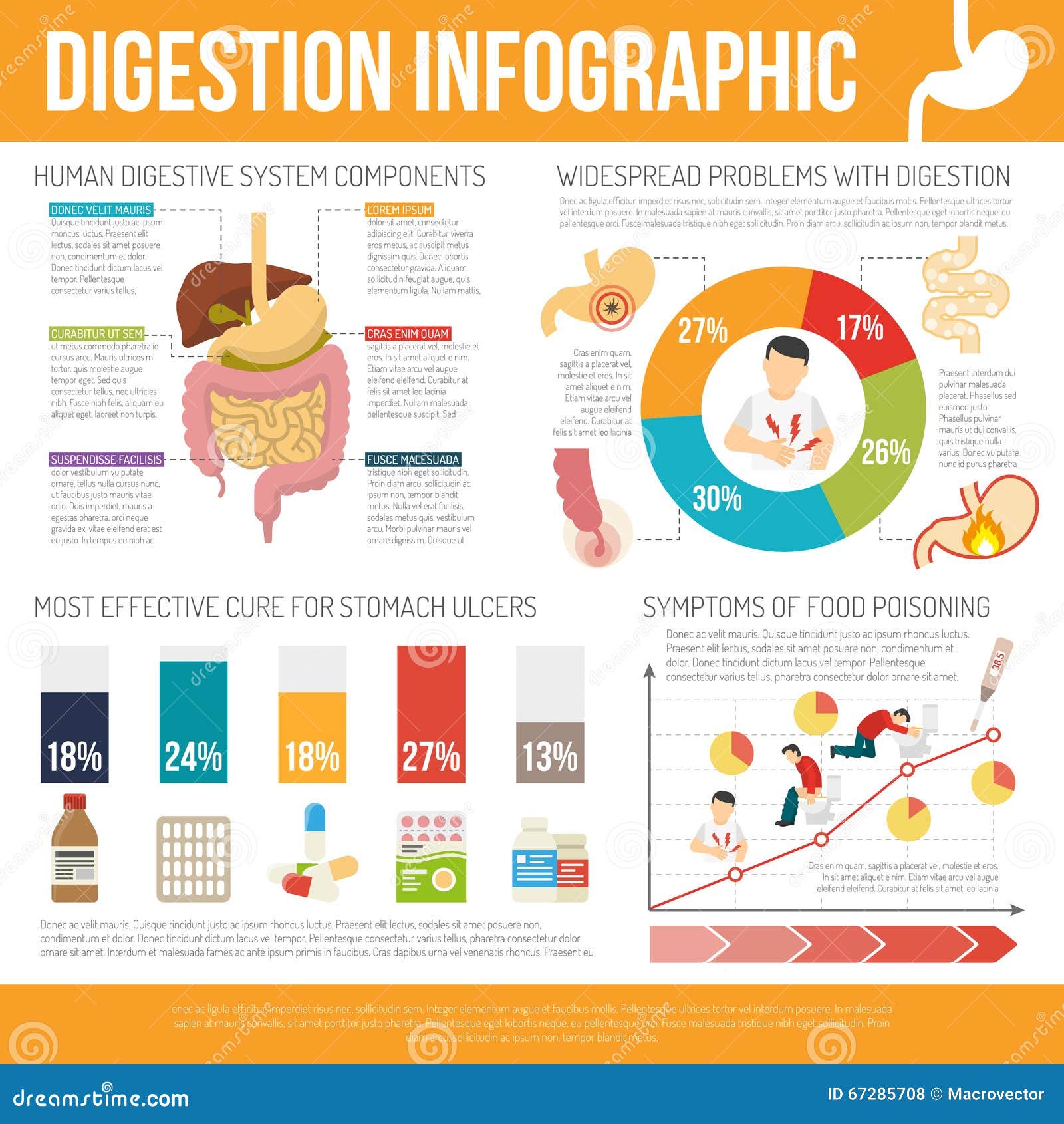 Digestion Infographic Set stock vector. Illustration of..