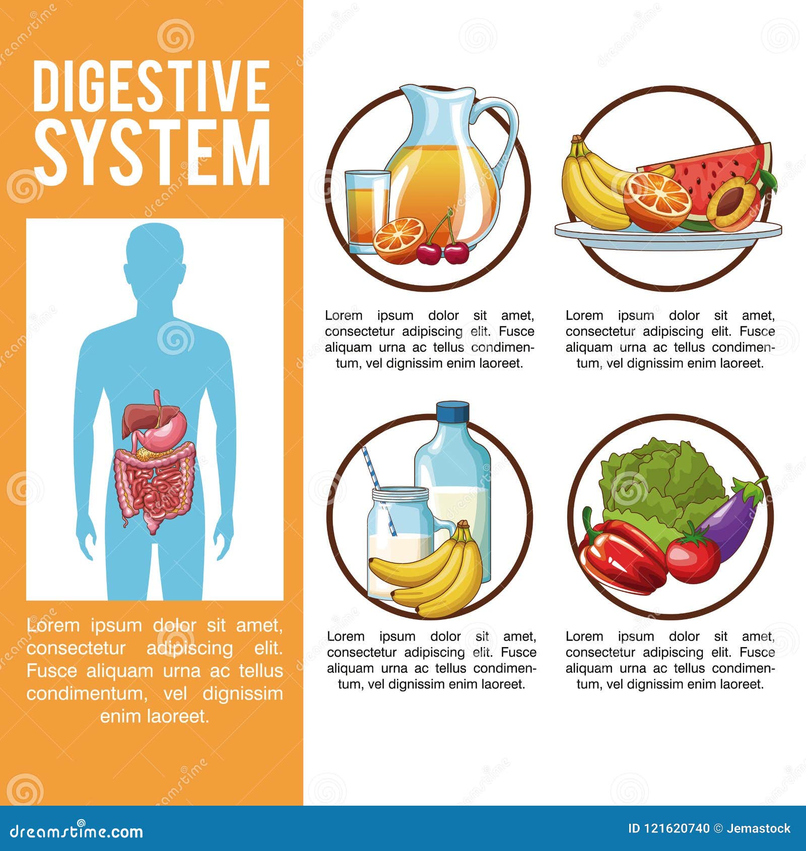 create a travel brochure of the digestive system