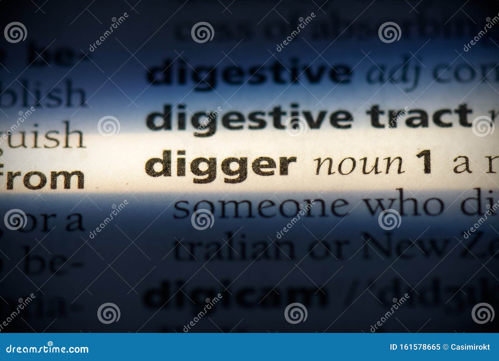 Gold digger - definition of gold digger by The Free Dictionary