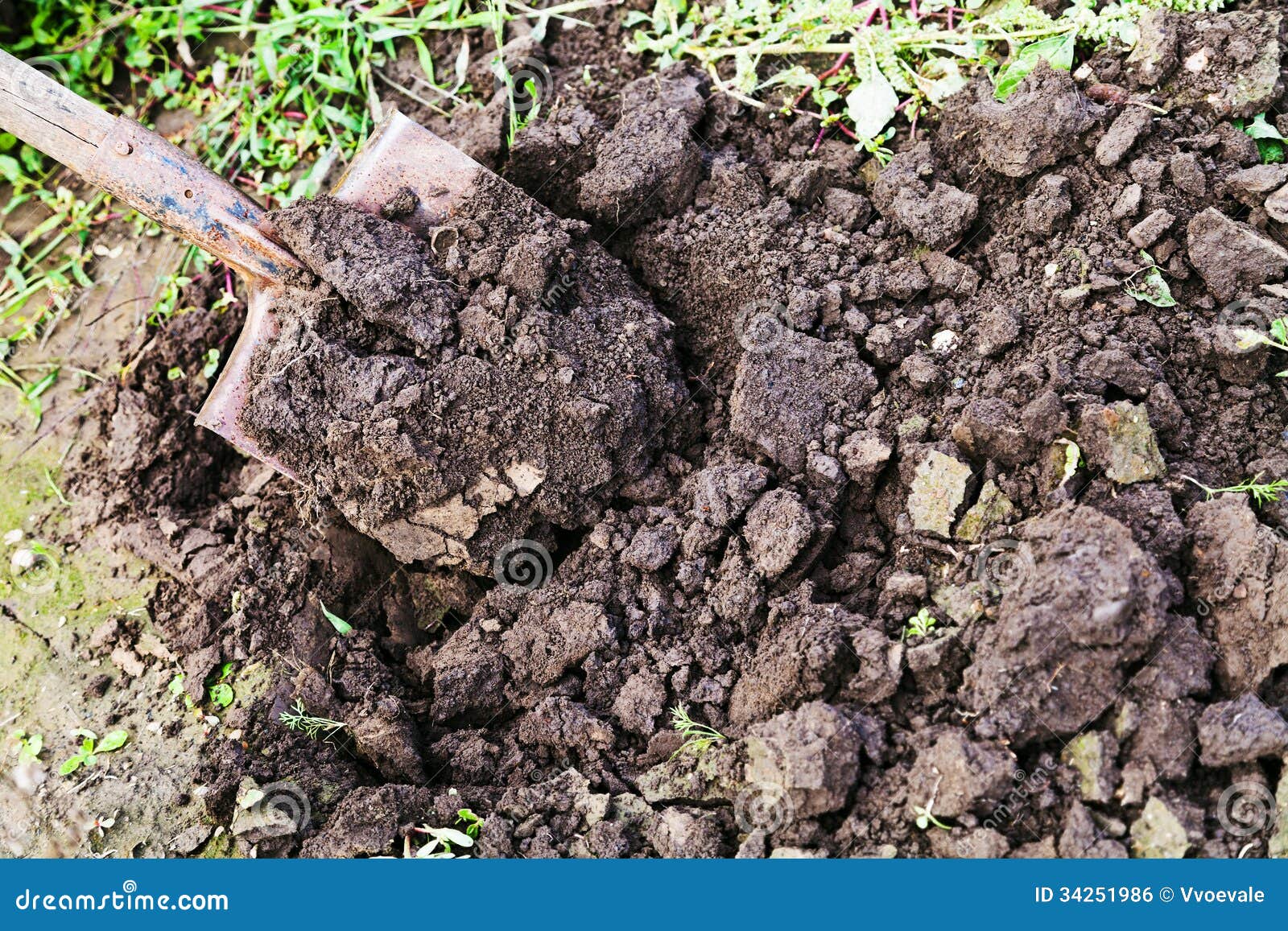 Digging with spade stock photo. Image of freshly, agrarian 34251986