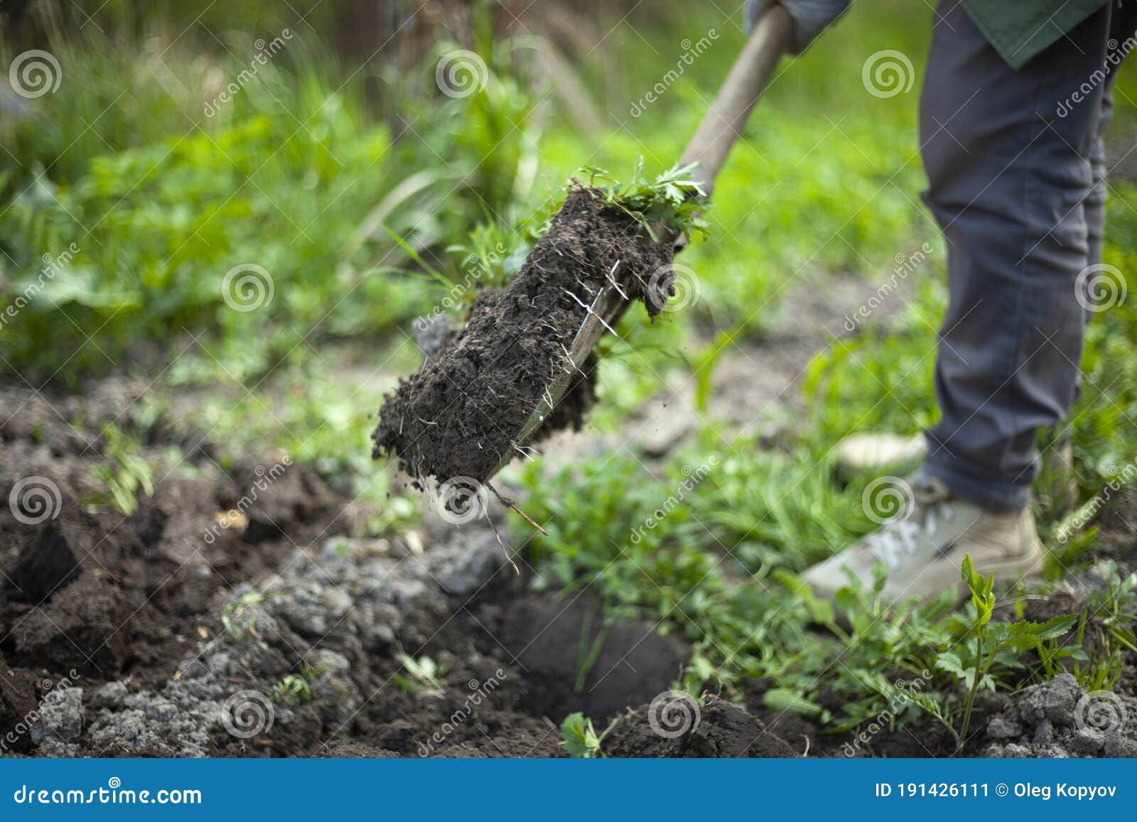 Digging Up Soil with a Shovel. Stock Image - Image of action, tool ...