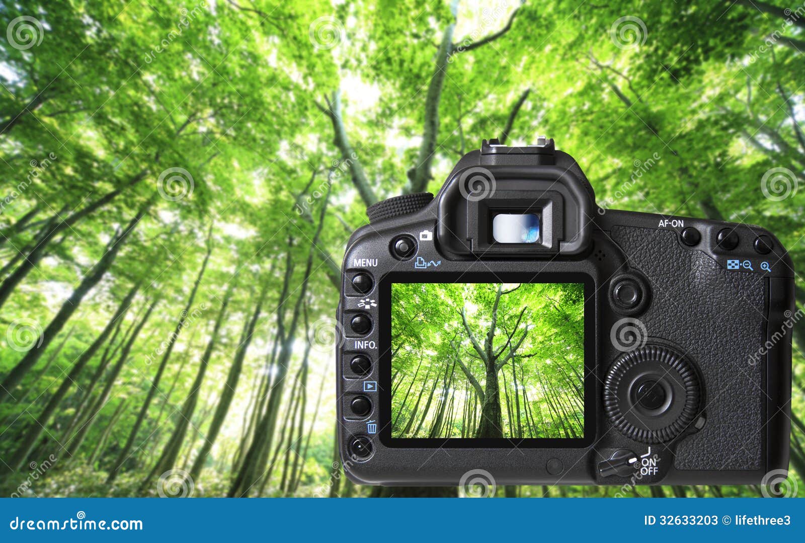 Camera Capturing A Forest Stock Photo - Download Image Now