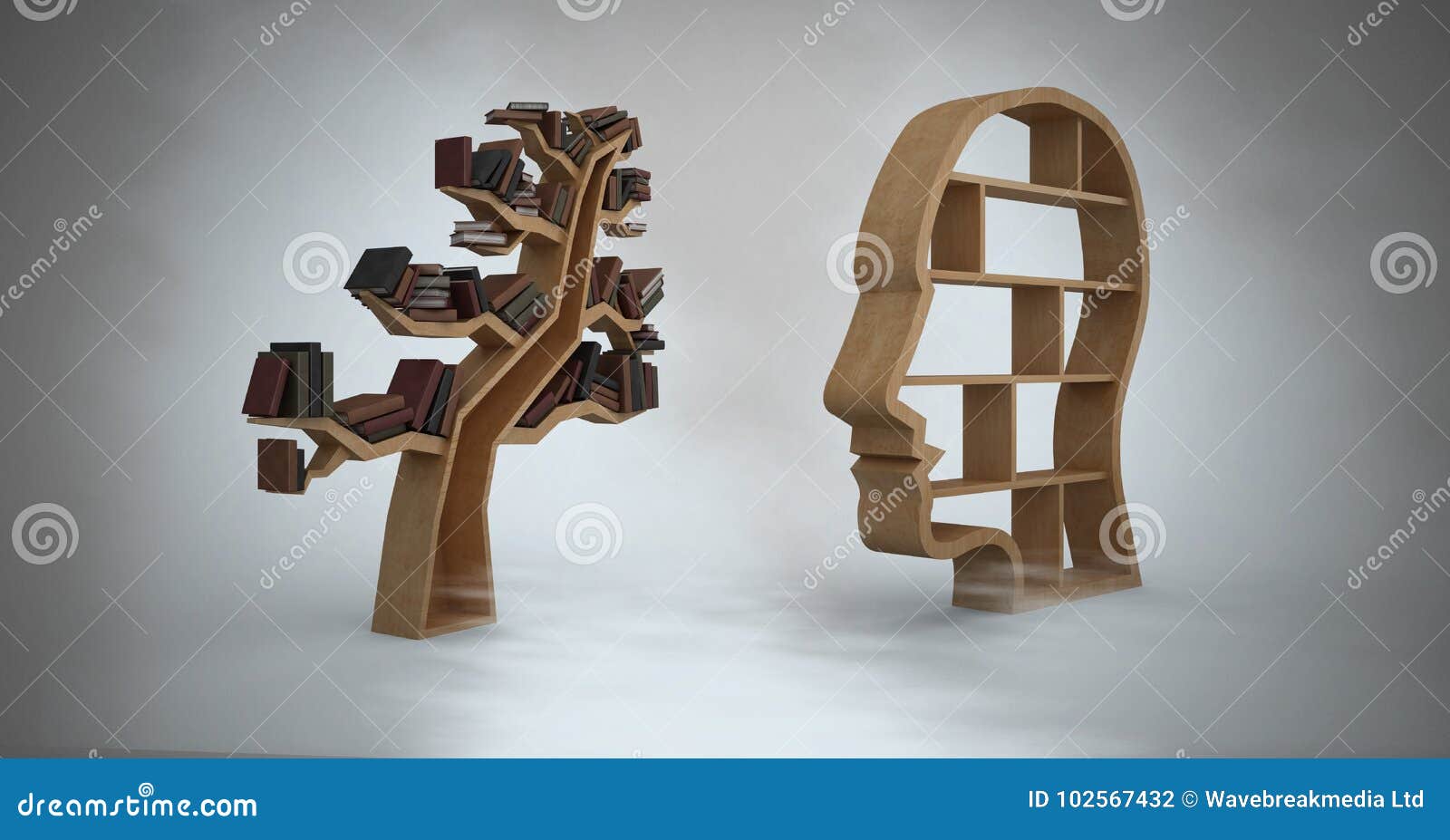 Head And Tree Bookshelf Of Knowledge With Grey Background Stock