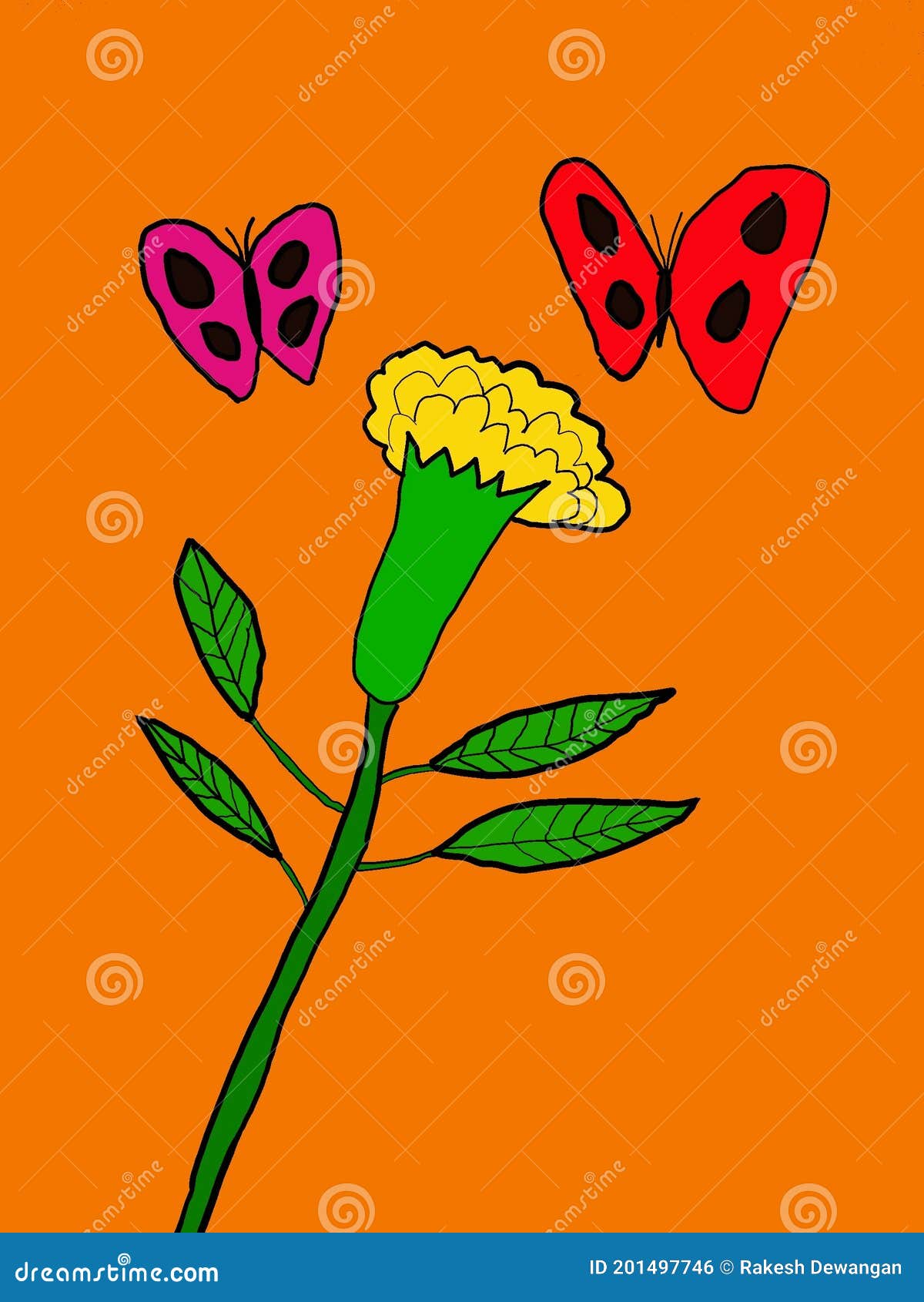 Digital Drawing of Marigolds Flower Stock Illustration - Illustration