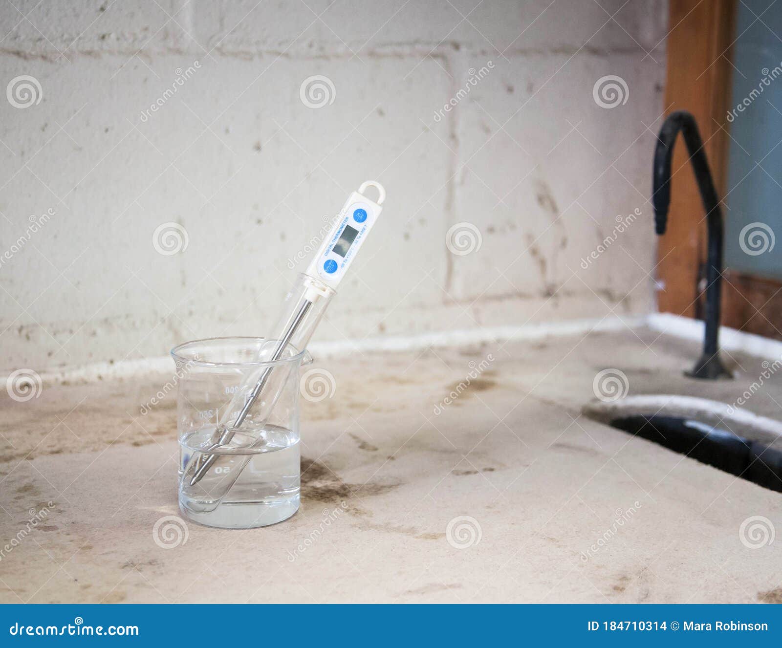 Digital Electronic Thermometer Measuring the Temperture Inside a Test