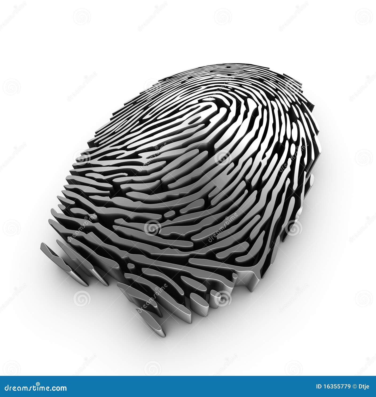 digital fingerprint for authentication