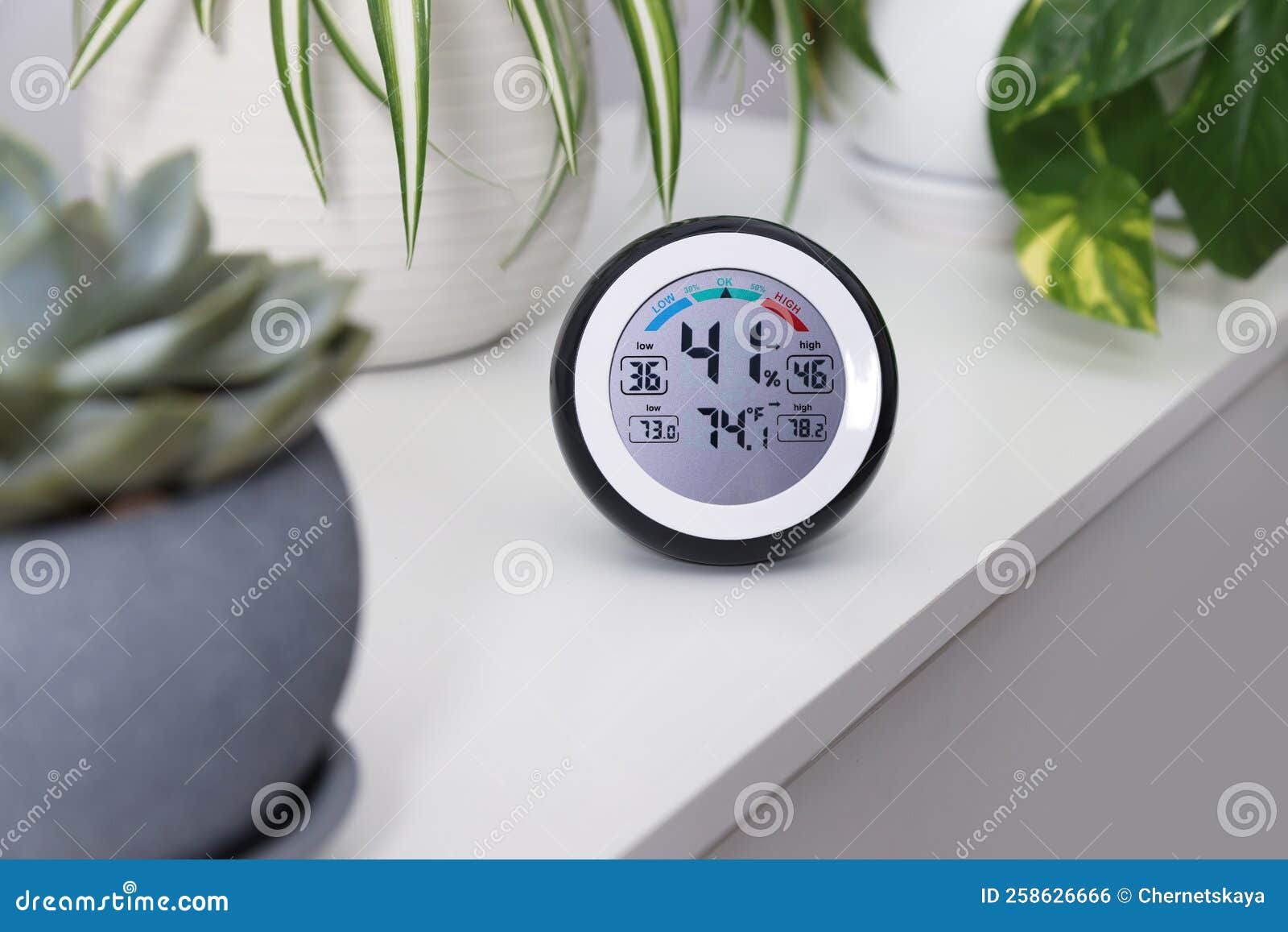 Digital Hygrometer with Thermometer and Plants on White Table Stock Photo Image of hygrometer