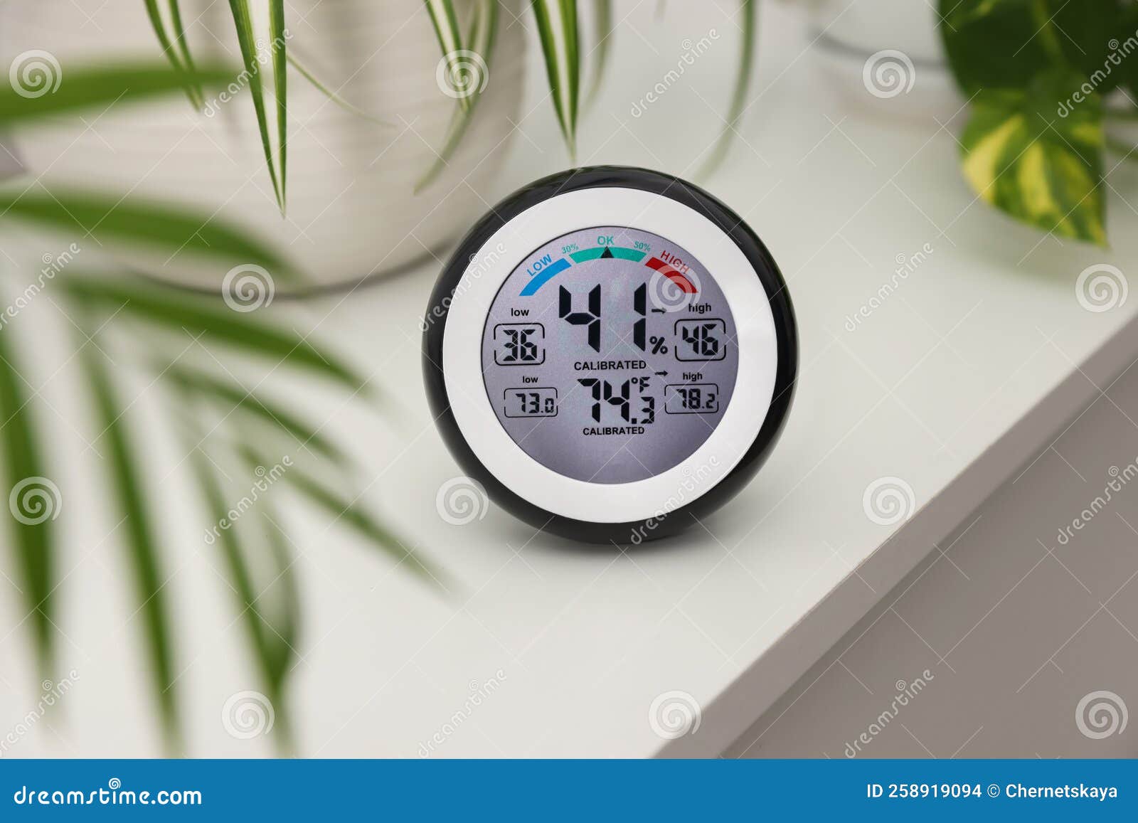 Digital Hygrometer with Thermometer and Plants on White Table