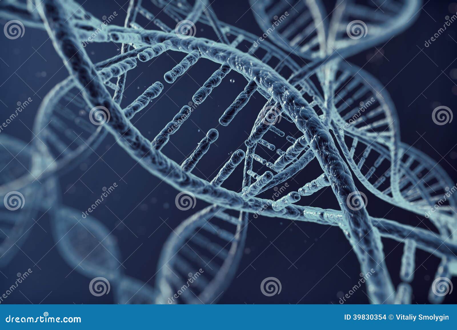 digital  dna cell