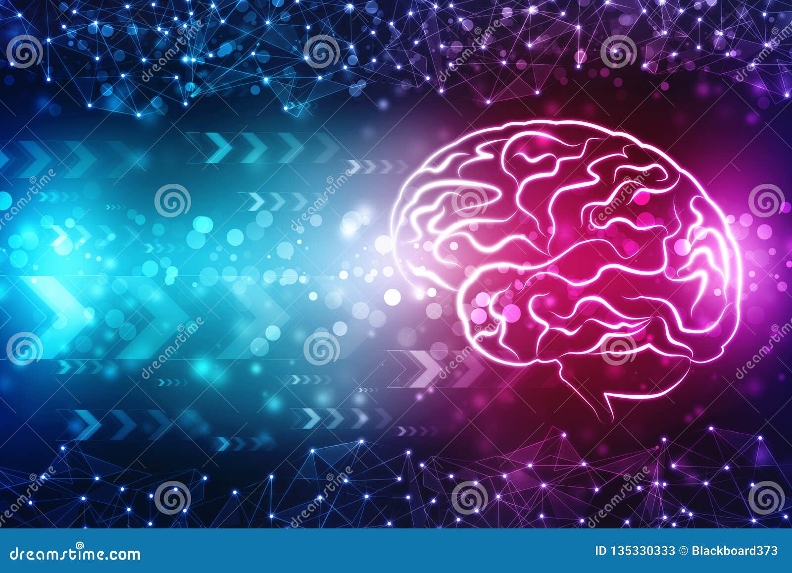 Digital Illustration of Human Brain Structure, Creative Brain Concept  Background, Innovation Background Stock Illustration - Illustration of  concept, artificial: 135330333