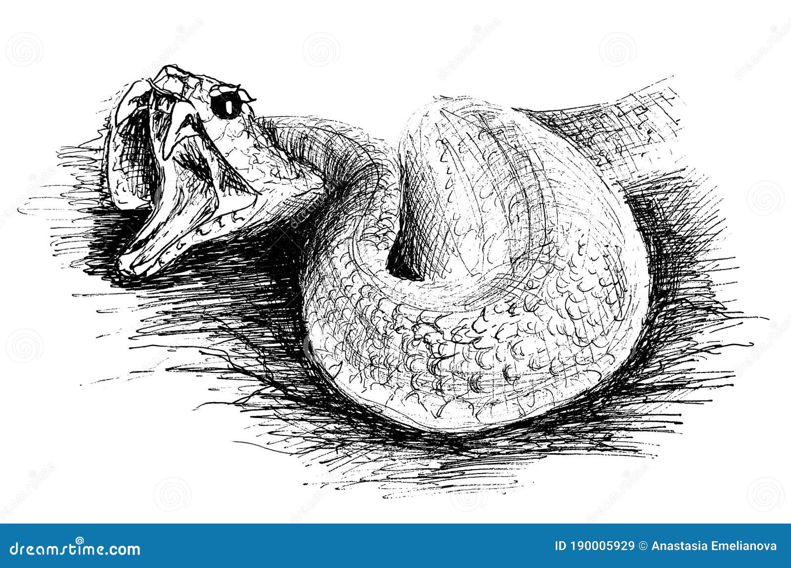 Angry snake ink drawing stock illustration. Illustration of adder ...