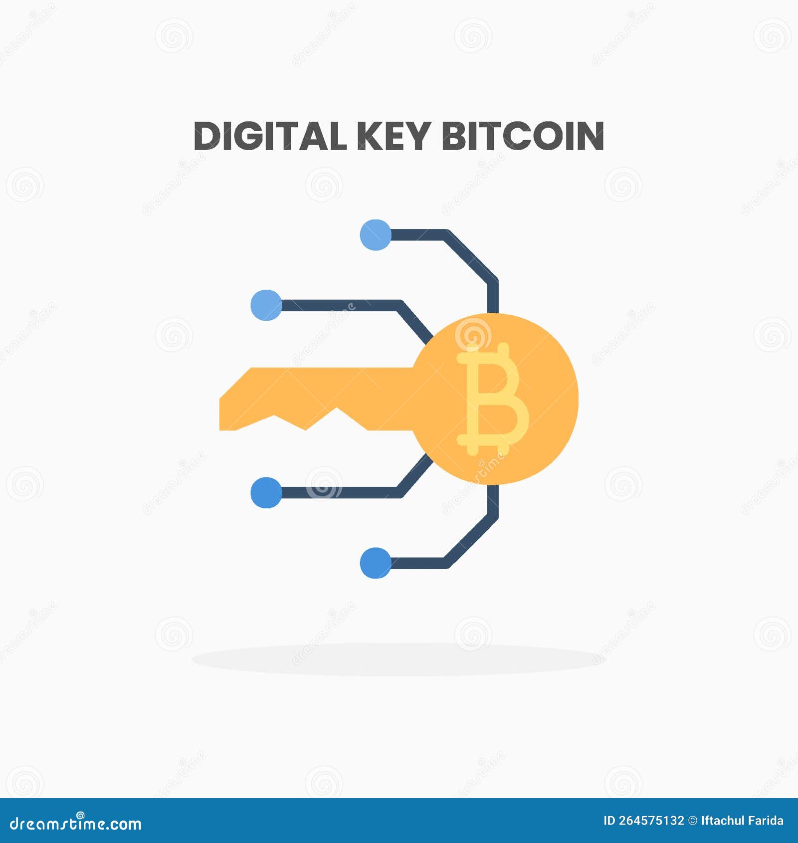 digital key secure bitcoin icon flat.