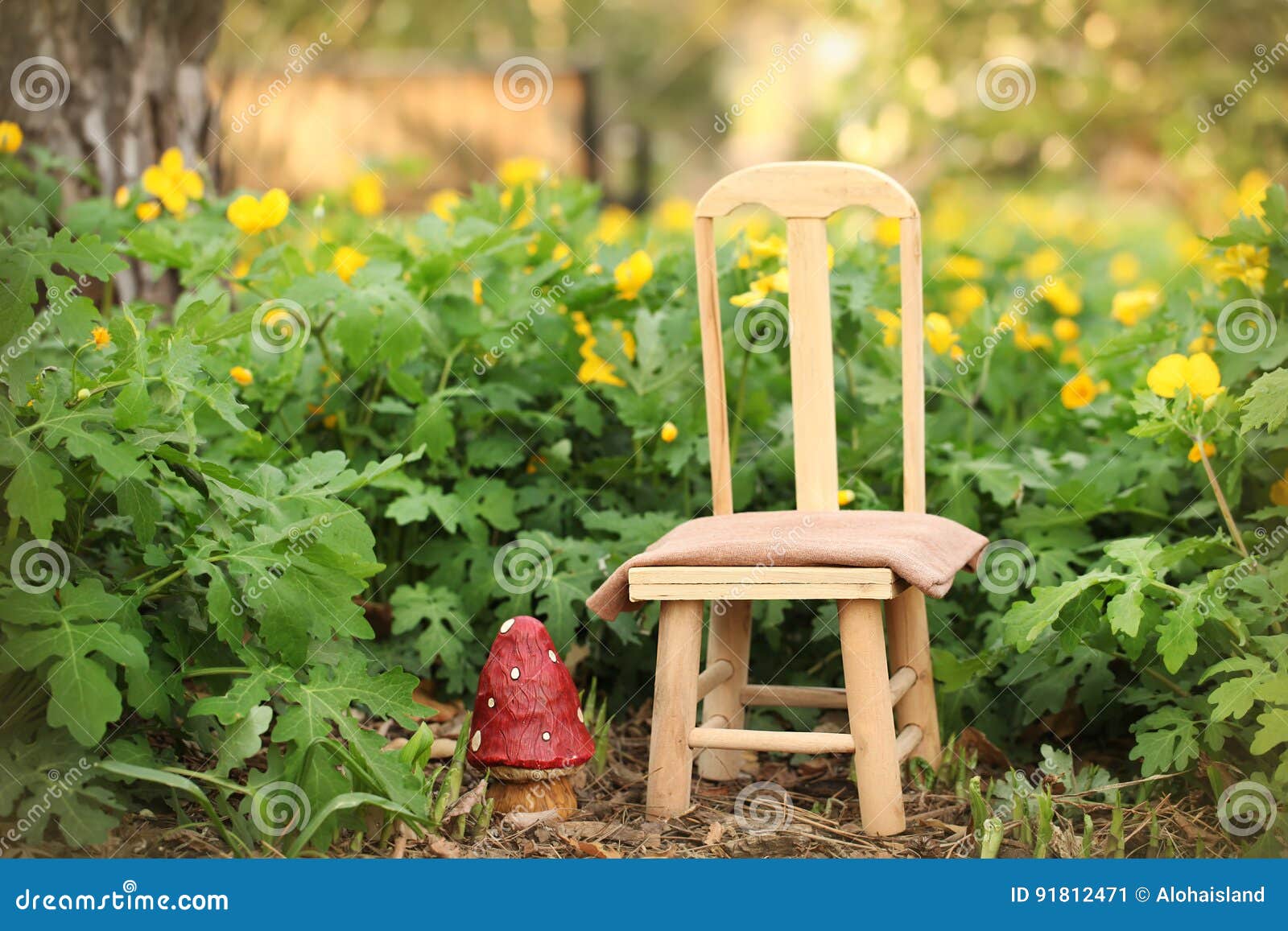 48,431 Chair Garden Background Stock Photos - Free & Royalty-Free Stock  Photos from Dreamstime