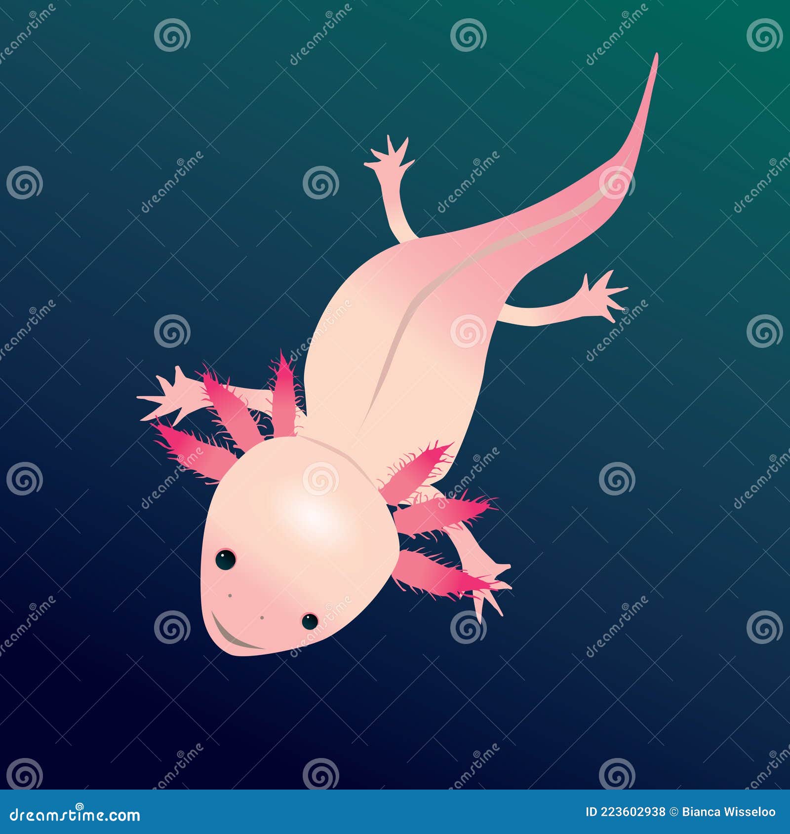 Drawing Salamander Stock Illustrations 1 843 Drawing Salamander Stock Illustrations Vectors Clipart Dreamstime Drawing Salamander Stock Illustrations 1 843 Drawing Salamander Stock Illustrations Vectors Clipart Dreamstime