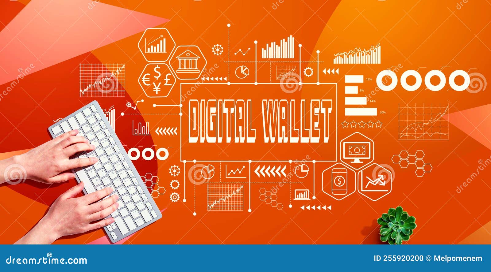 digital wallet theme with person using computer keyboard