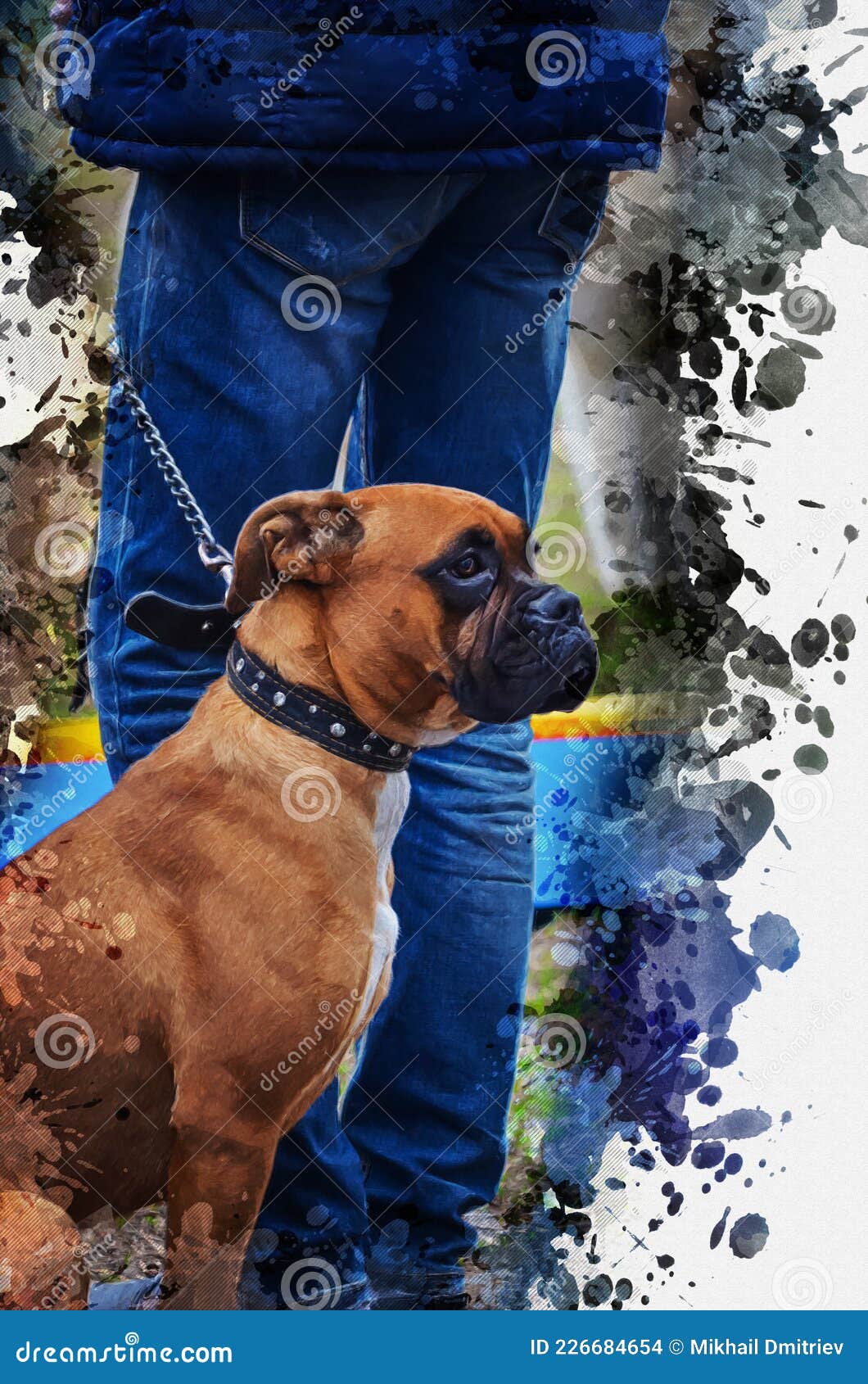 Animals boxer dog dogs HD wallpaper  Pxfuel