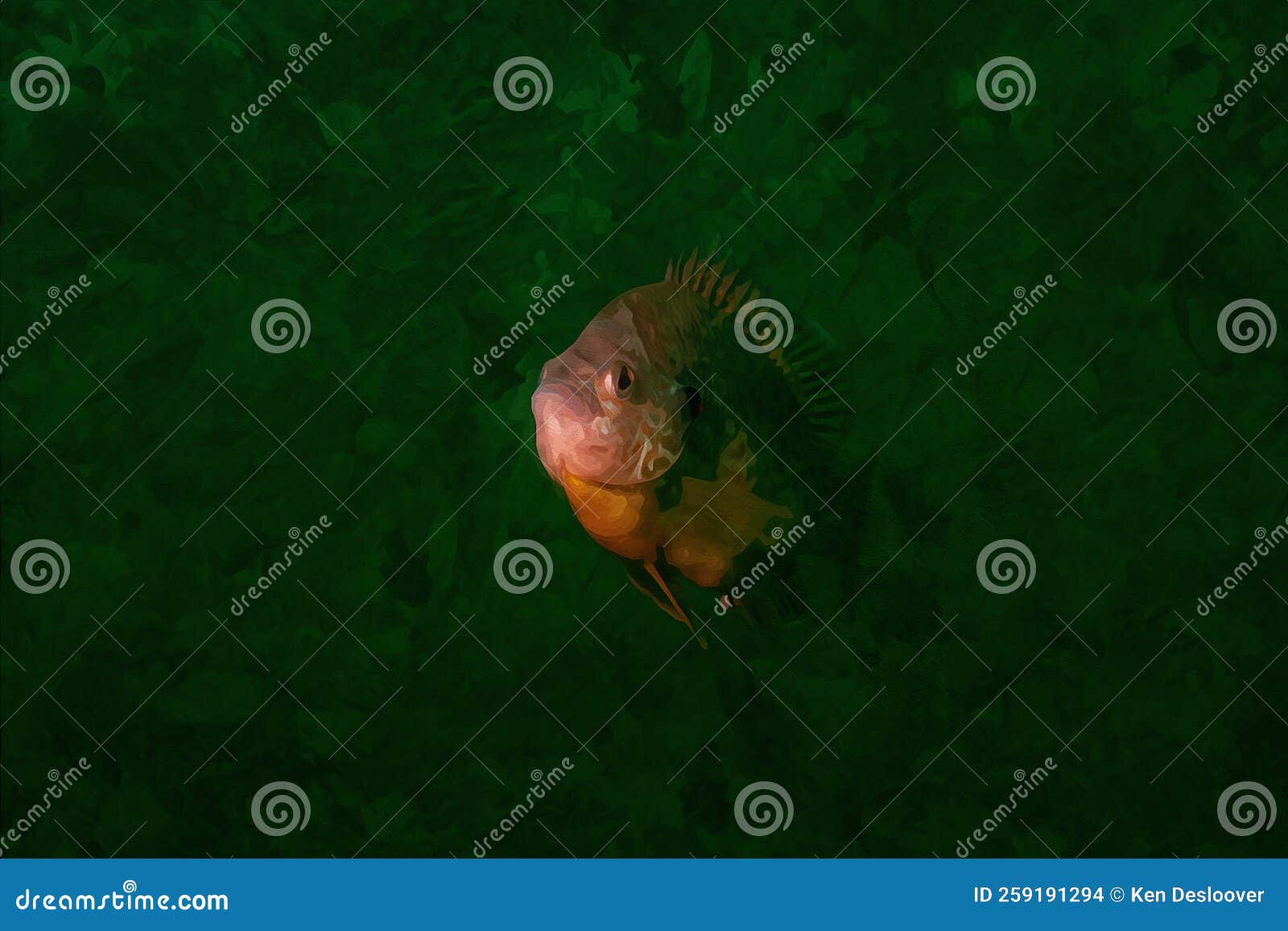 https://thumbs.dreamstime.com/z/digitally-created-watercolor-painting-male-bluegill-dollar-sunfish-natural-habitat-surrounding-digitally-created-259191294.jpg