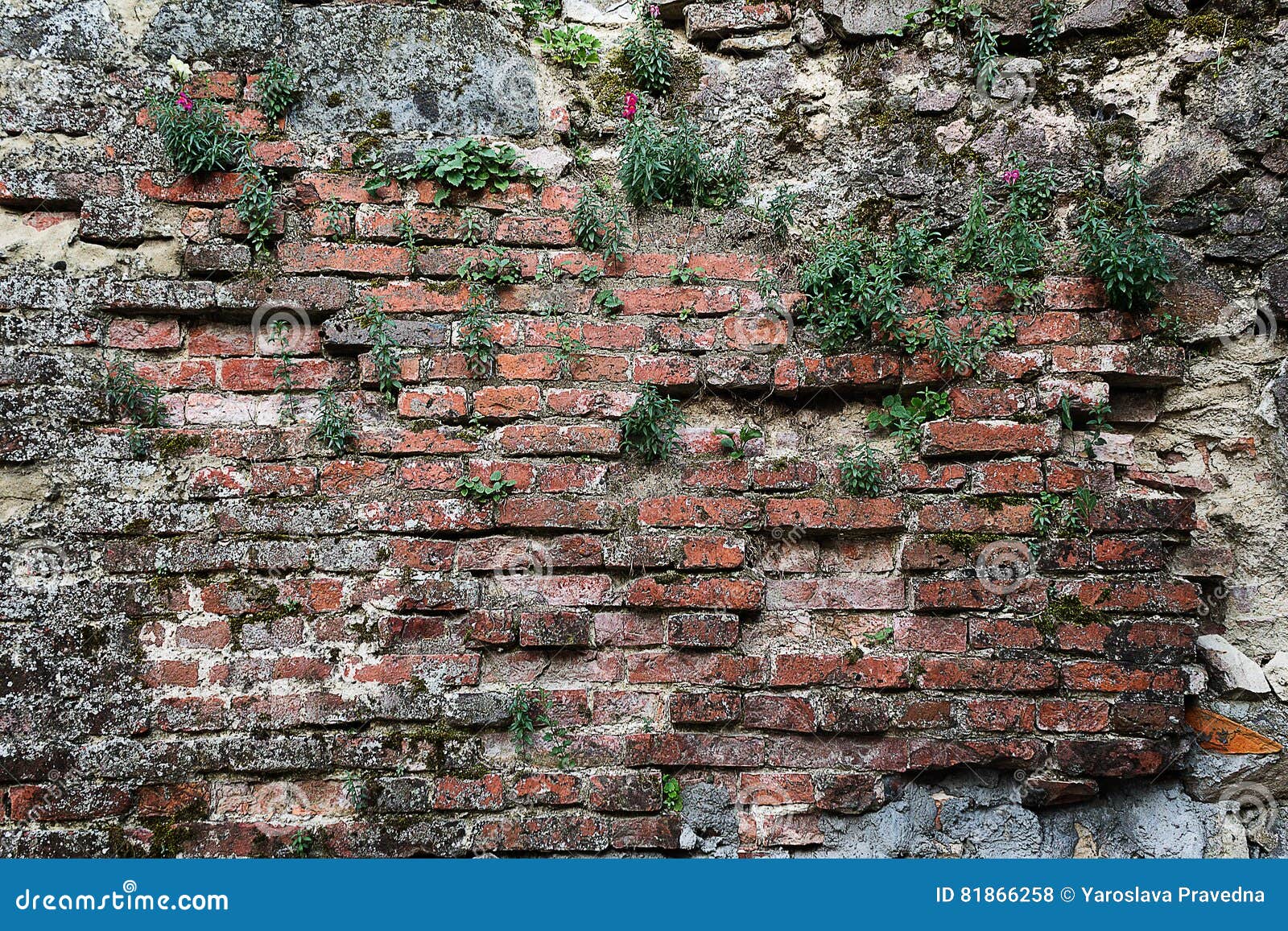 Dilapidated brick wall stock photo. Image of dilapidated 81866258