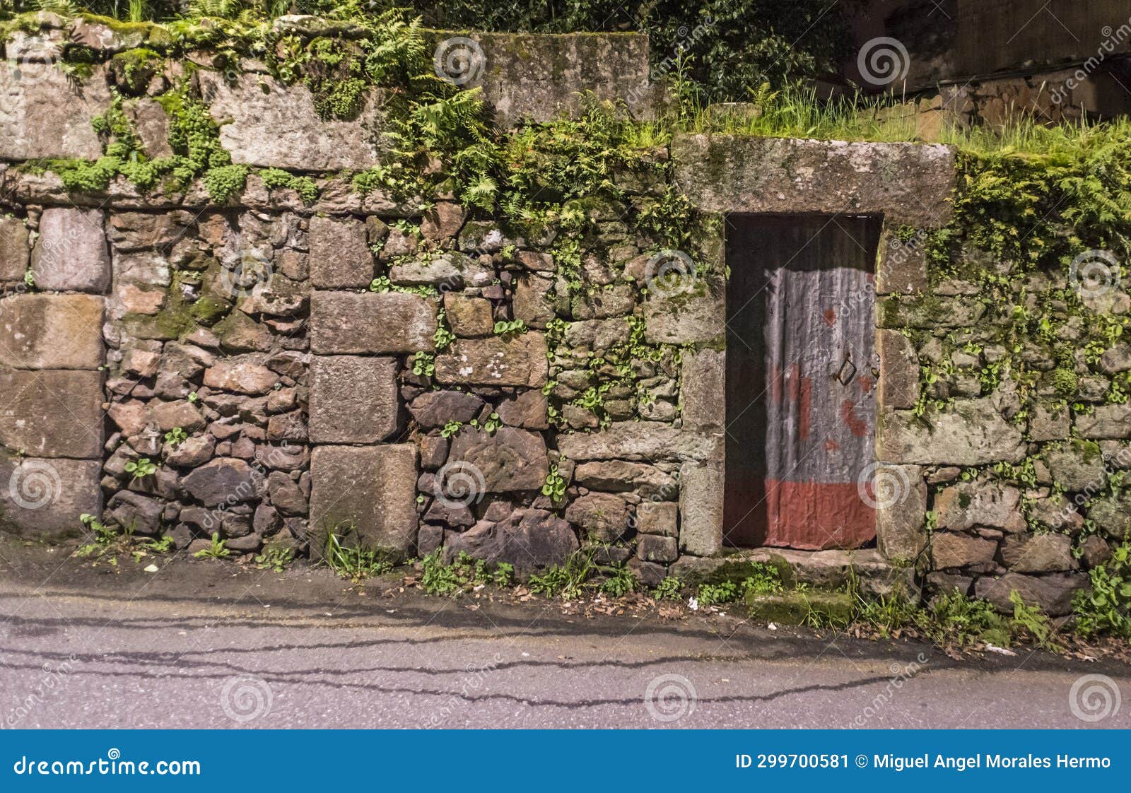 dilapidated metal door.