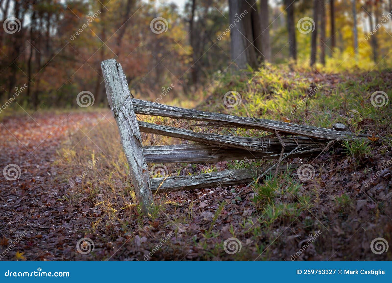 dilapodated wooden fence end and post with fallen leaves and negative space for cpy