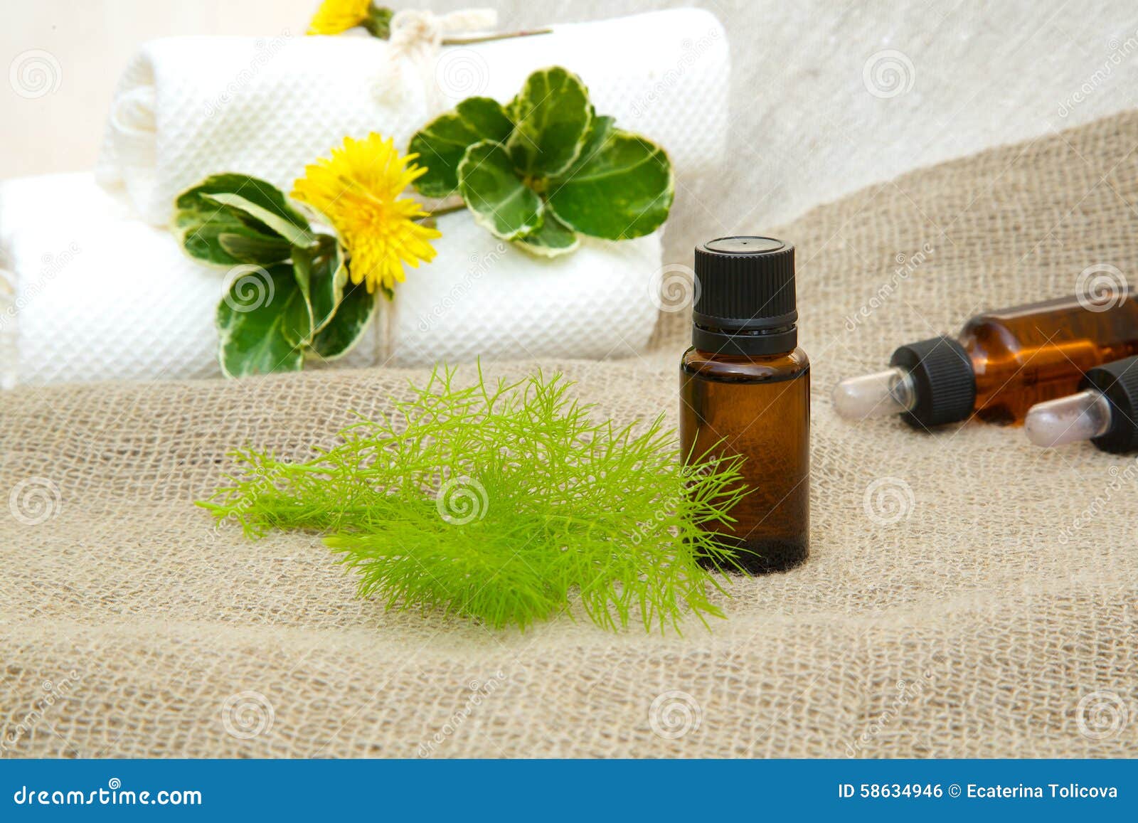 Dill essential oil stock photo. Image of spice, depurative 58634946