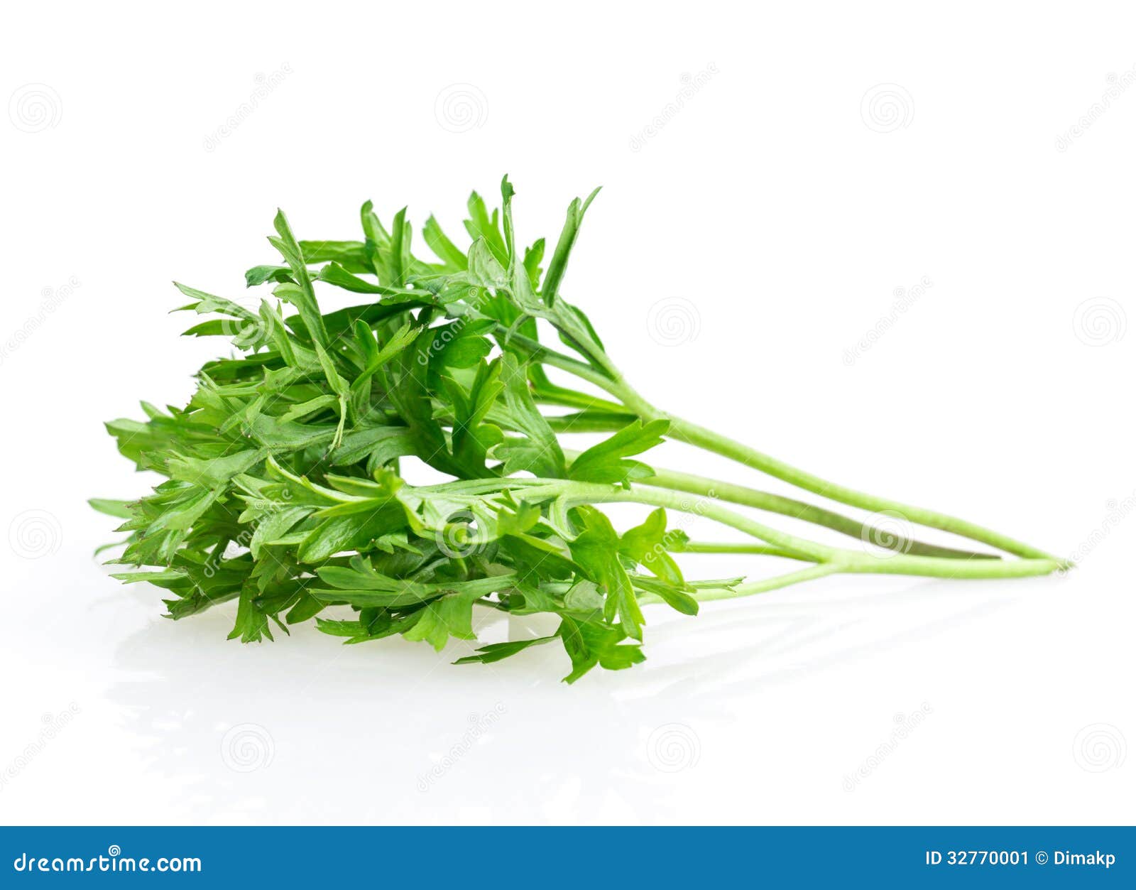 Dill stock image. Image of food, plant, fennel, ingredient 32770001
