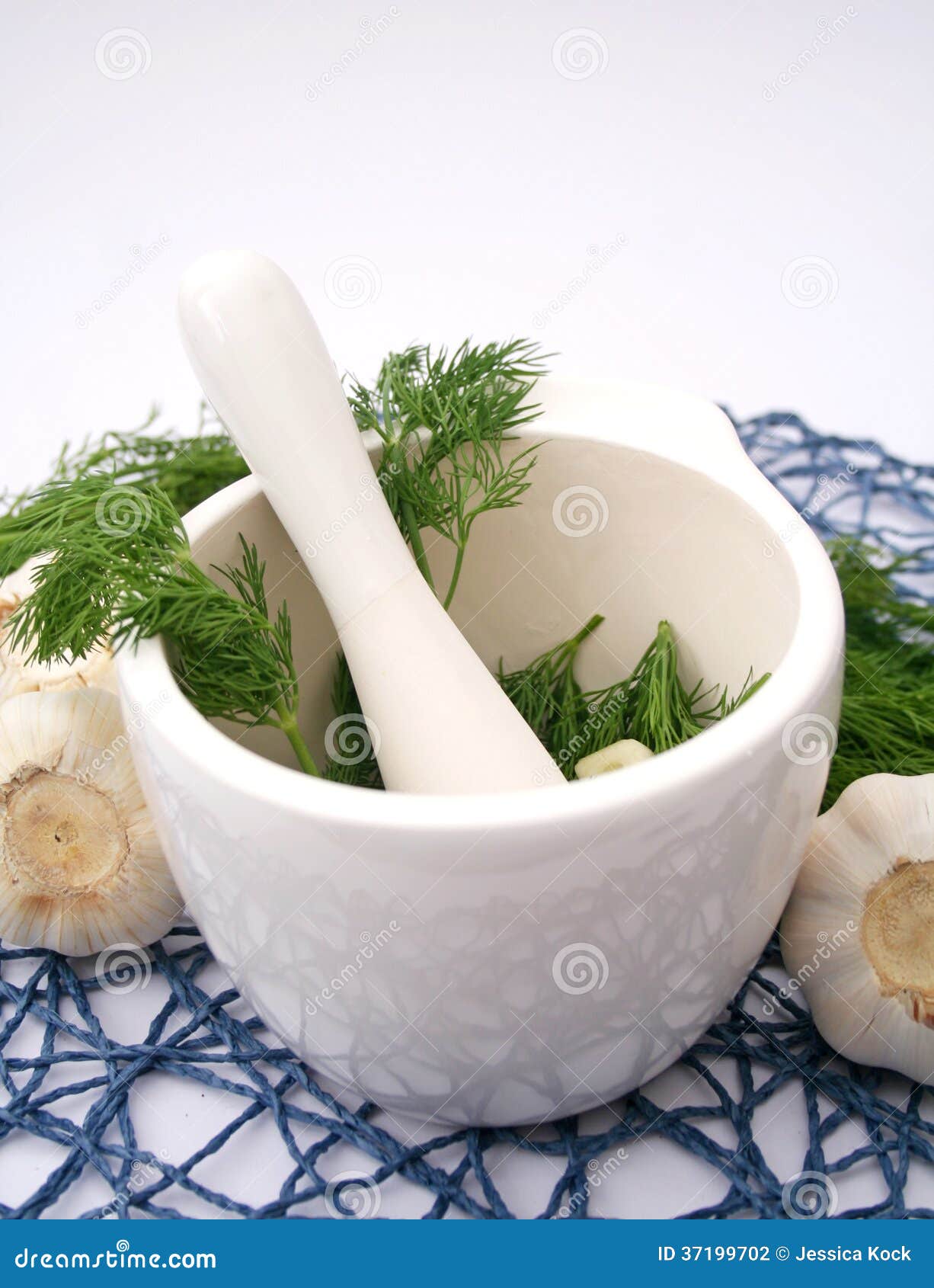 Dill and garlic stock photo. Image of vegetable, dishware 37199702