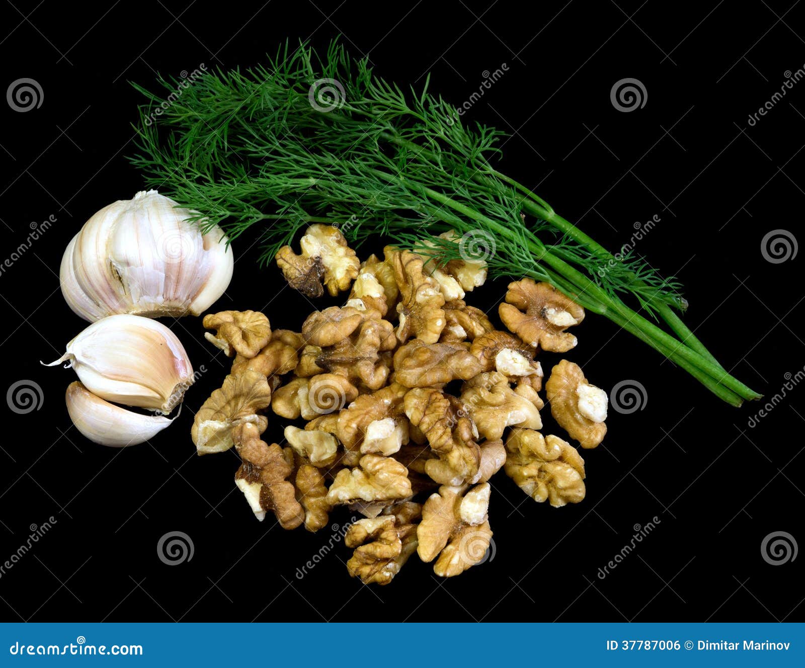 Dill, garlic and wallnuts stock photo. Image of dill 37787006