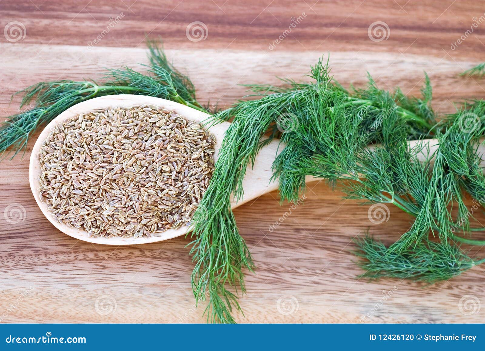 Dill Seed and Weed stock photo. Image of seed, colorful 12426120