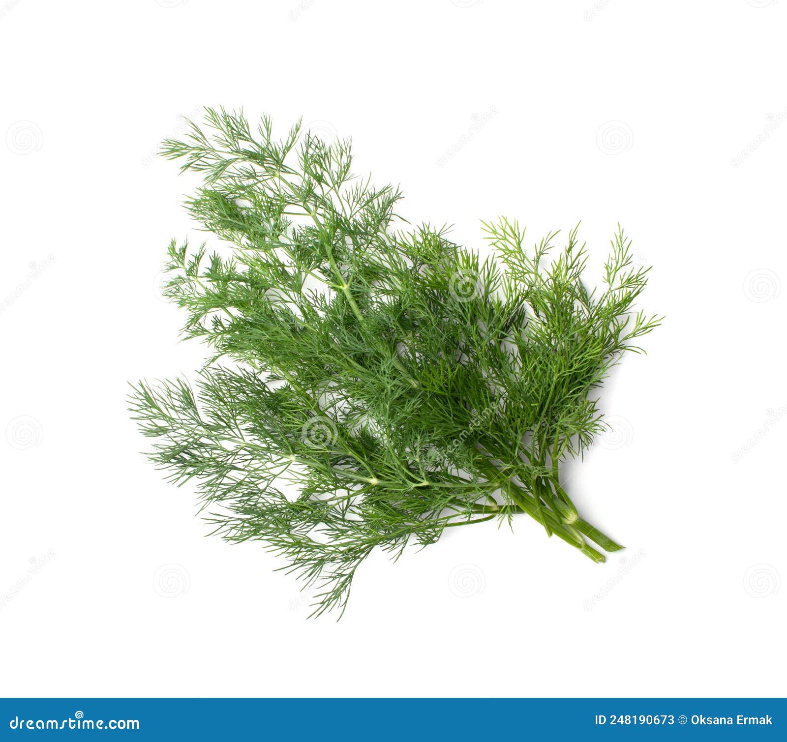 My Image 30