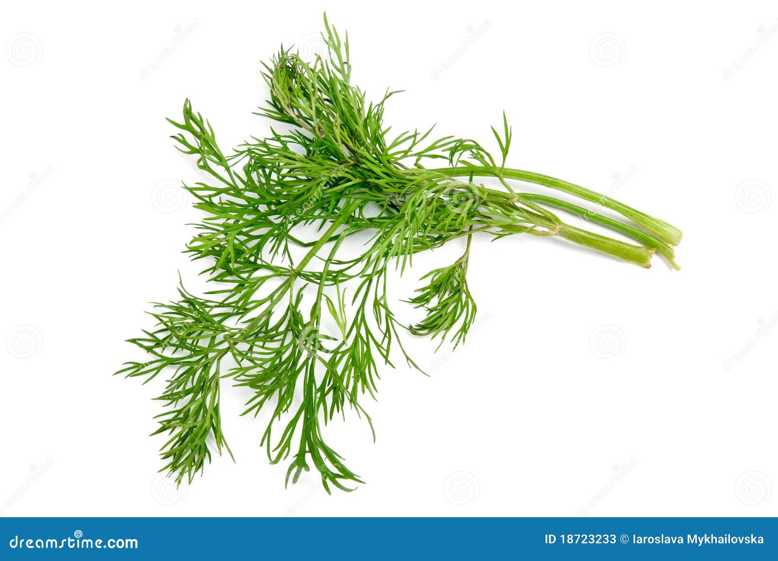 Dill on white background stock image. Image of cuisine 18723233