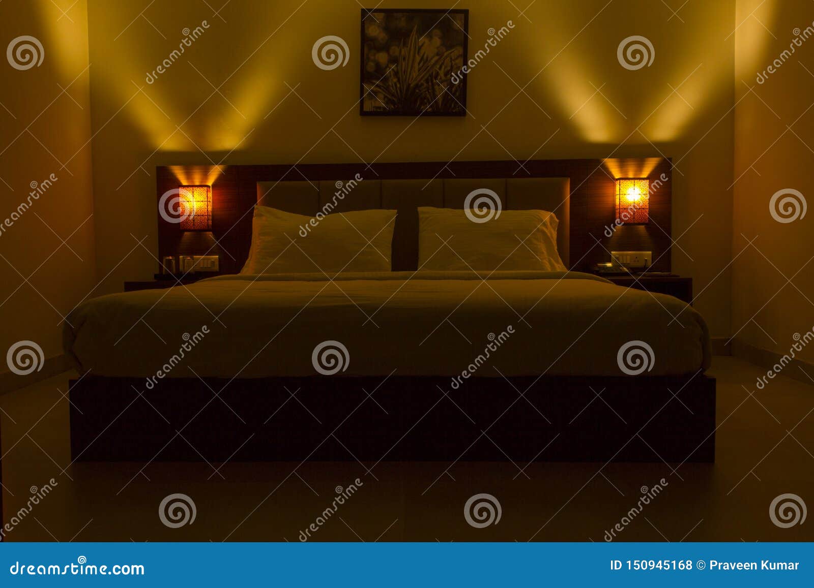 Dim Lit Bedroom Interior with a Double Cot Pillows and Wall Hanging in