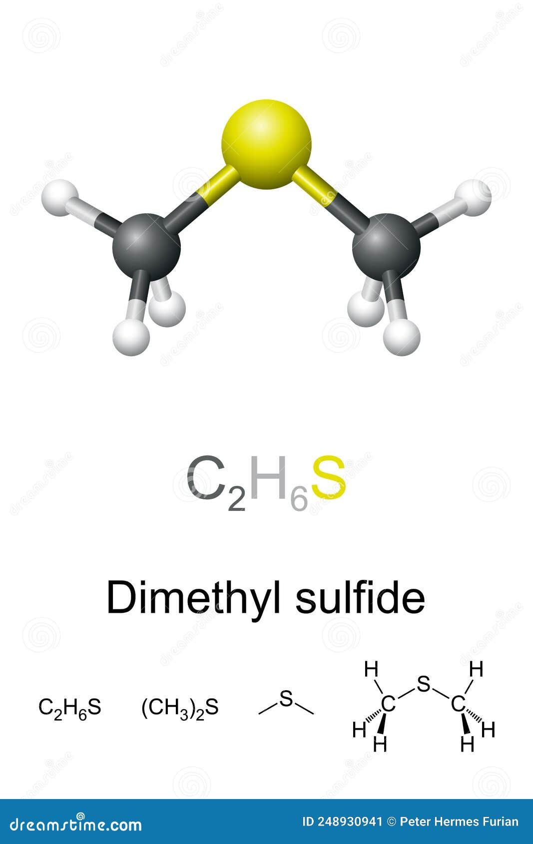 Dimethyl Sulfide Stock Illustrations 6 Dimethyl Sulfide Stock