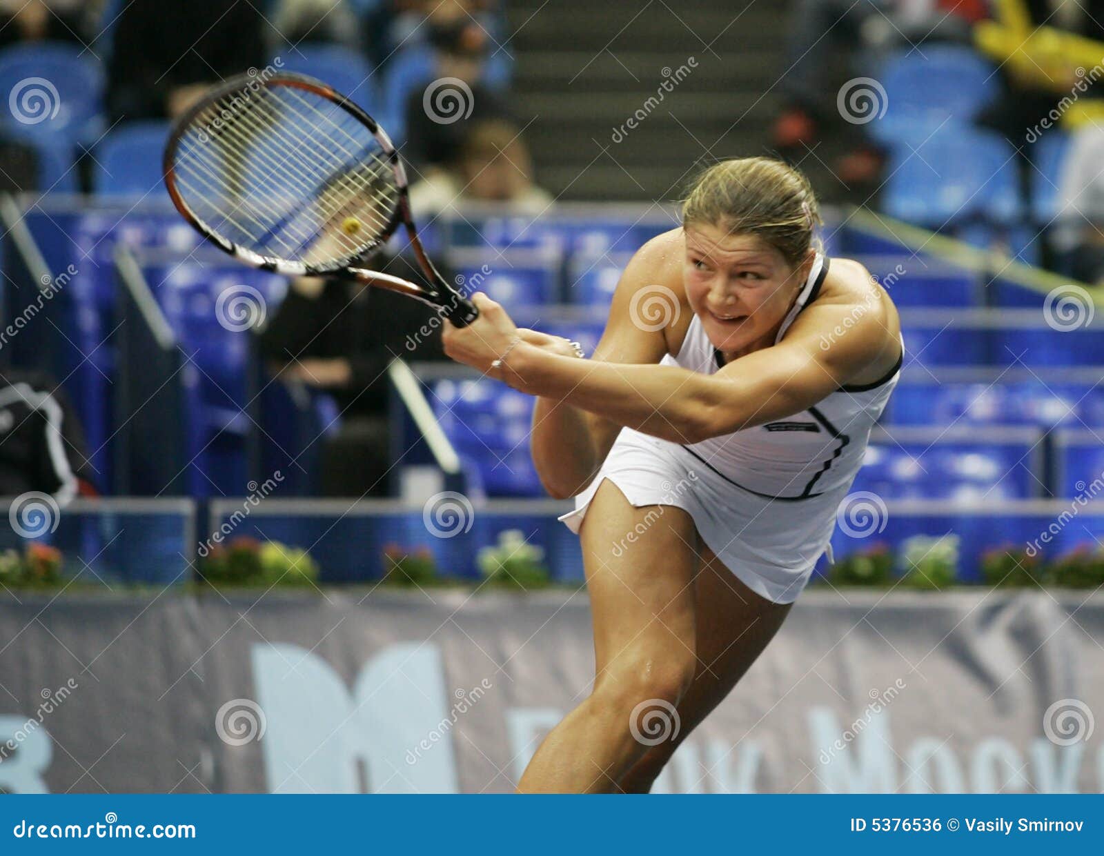 Dinara safina editorial photo. Image of recreational, leisure - 5376536