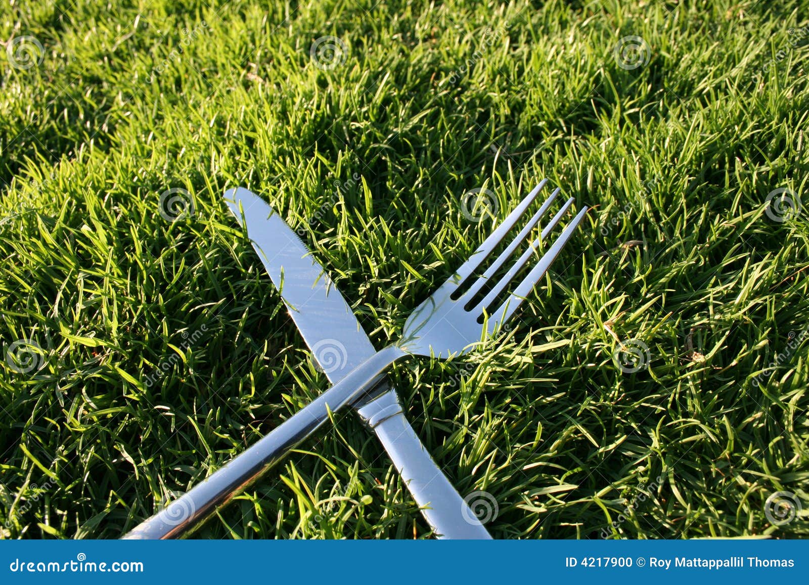 Dine Out stock photo. Image of fine, grass, lawn, dining - 4217900