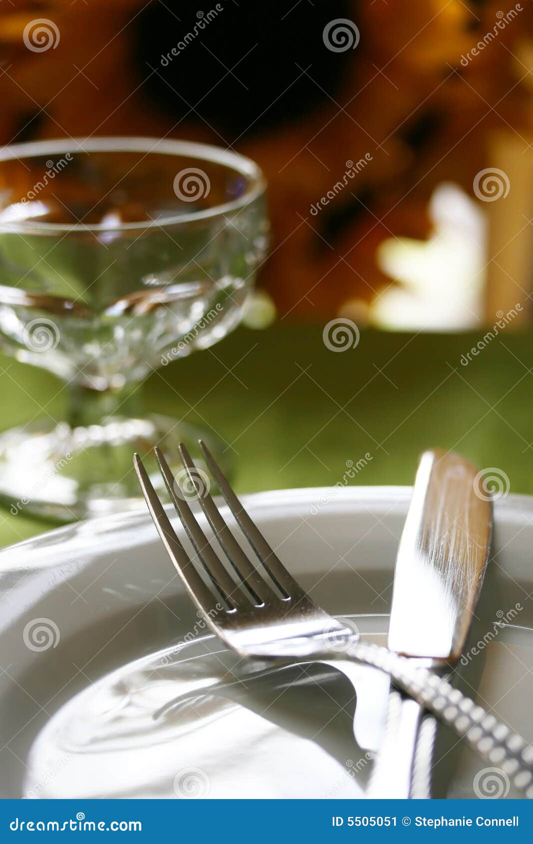 Dinner for One stock image. Image of dinning, knife, cutlery - 5505051