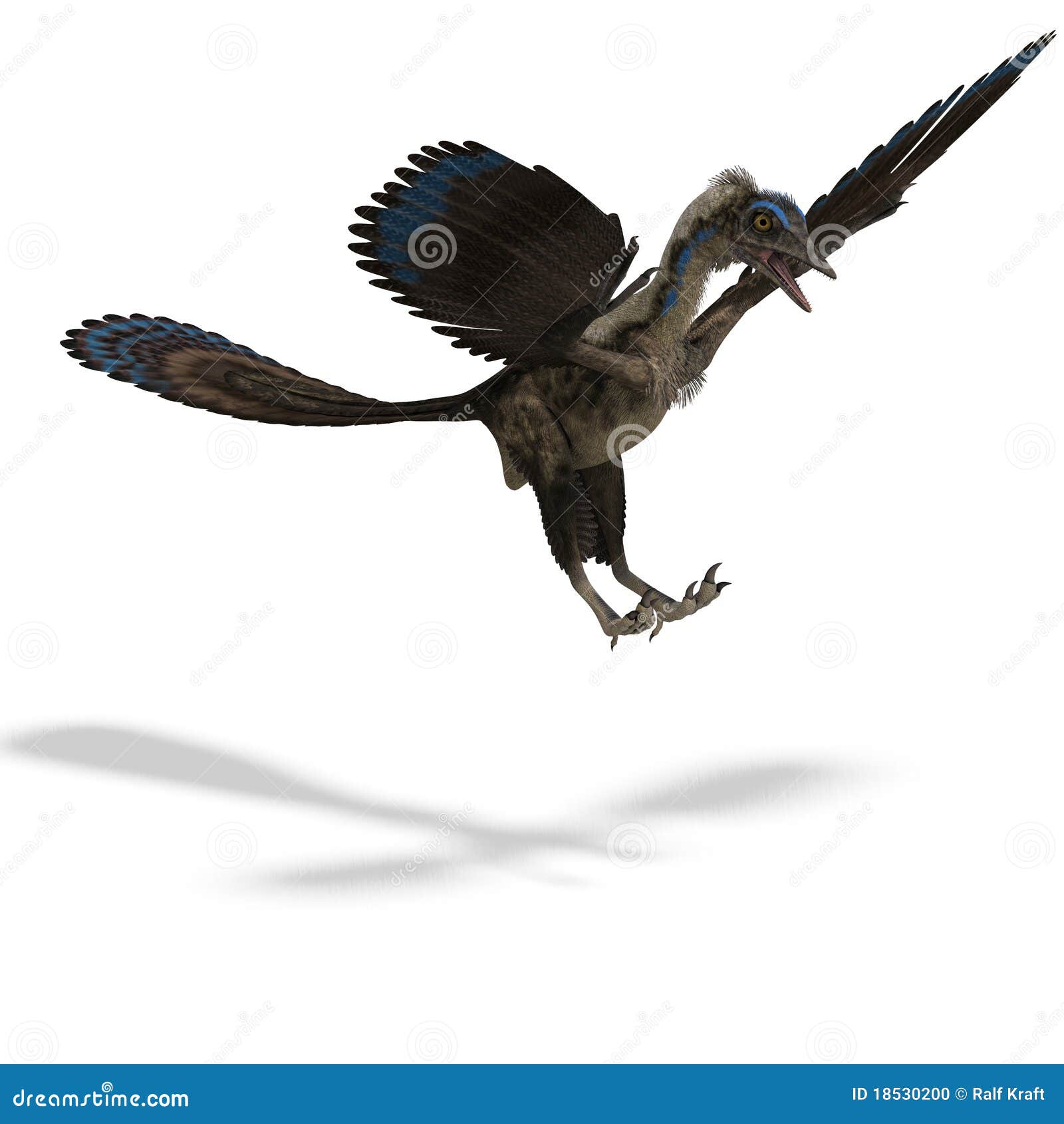 Dinosaur Archaeopteryx Stock Photo Image 18530200
