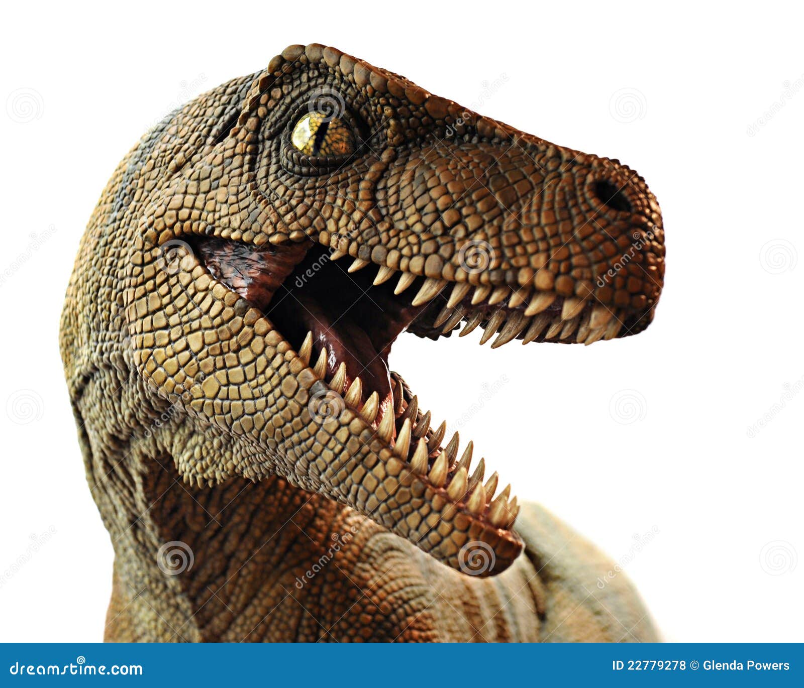 45,192 Dinosaur Stock Photos - Free & Royalty-Free Stock Photos from  Dreamstime