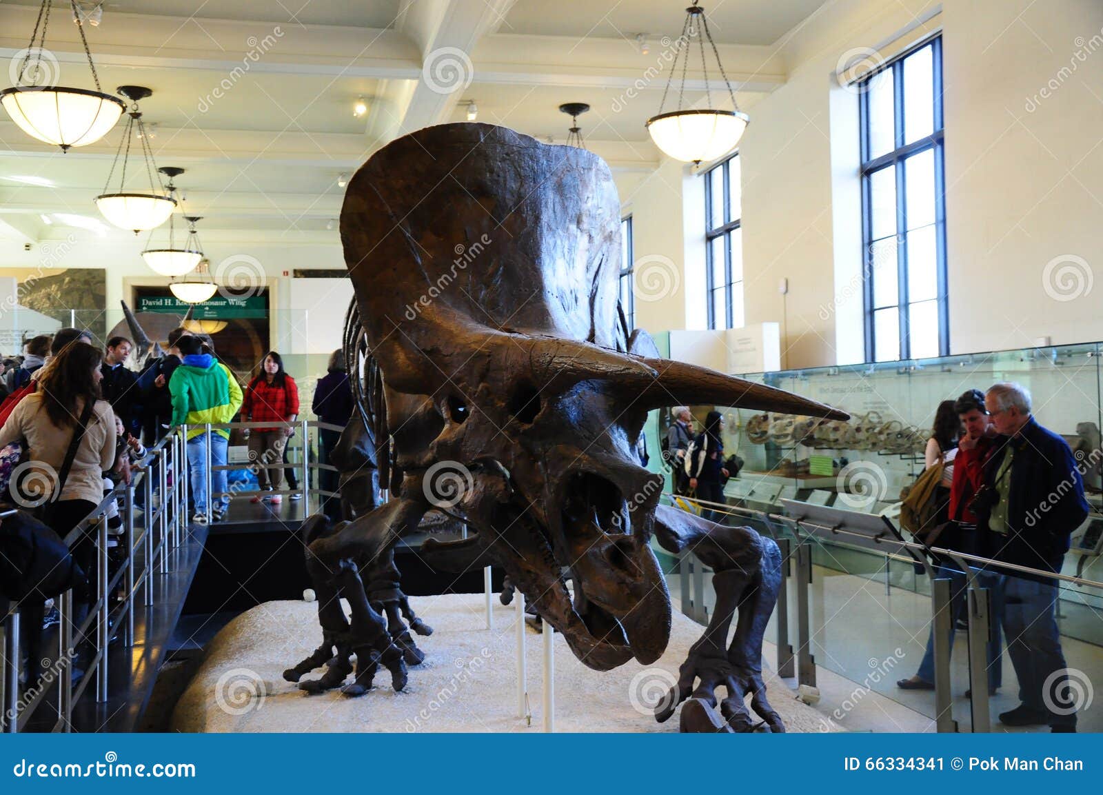 Street Museum Of Natural History Central Park West Street Museum Of Natural History Central Park West