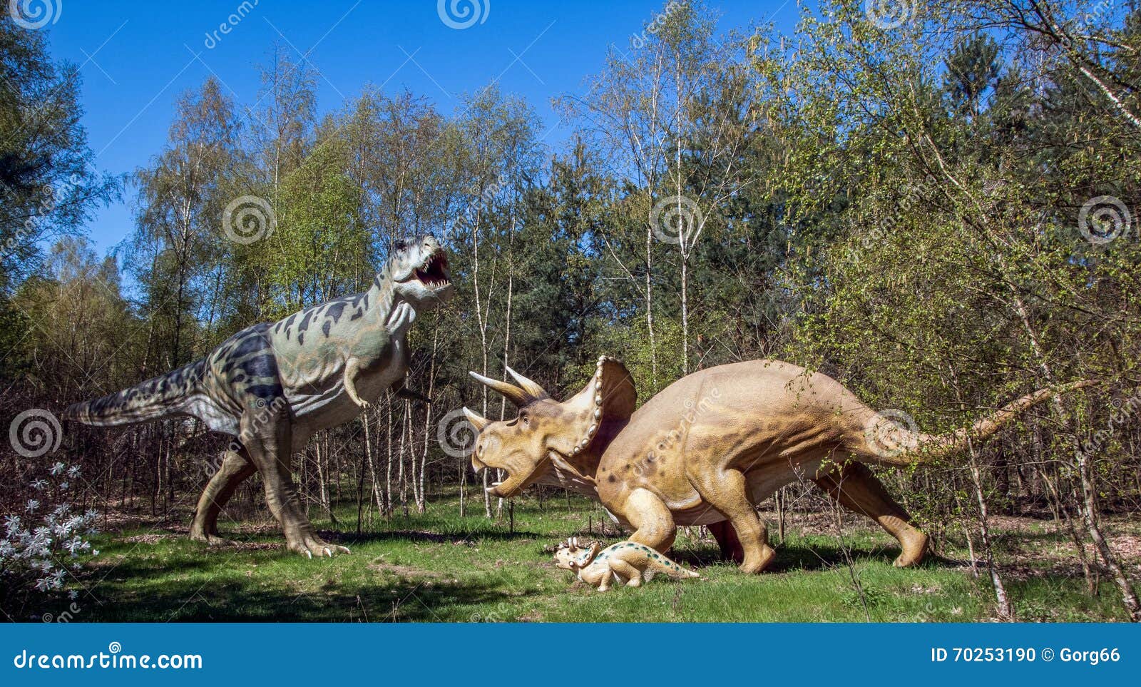 Tyrannosaurus Rex Versus Spinosaurus Isolated On White Background Stock