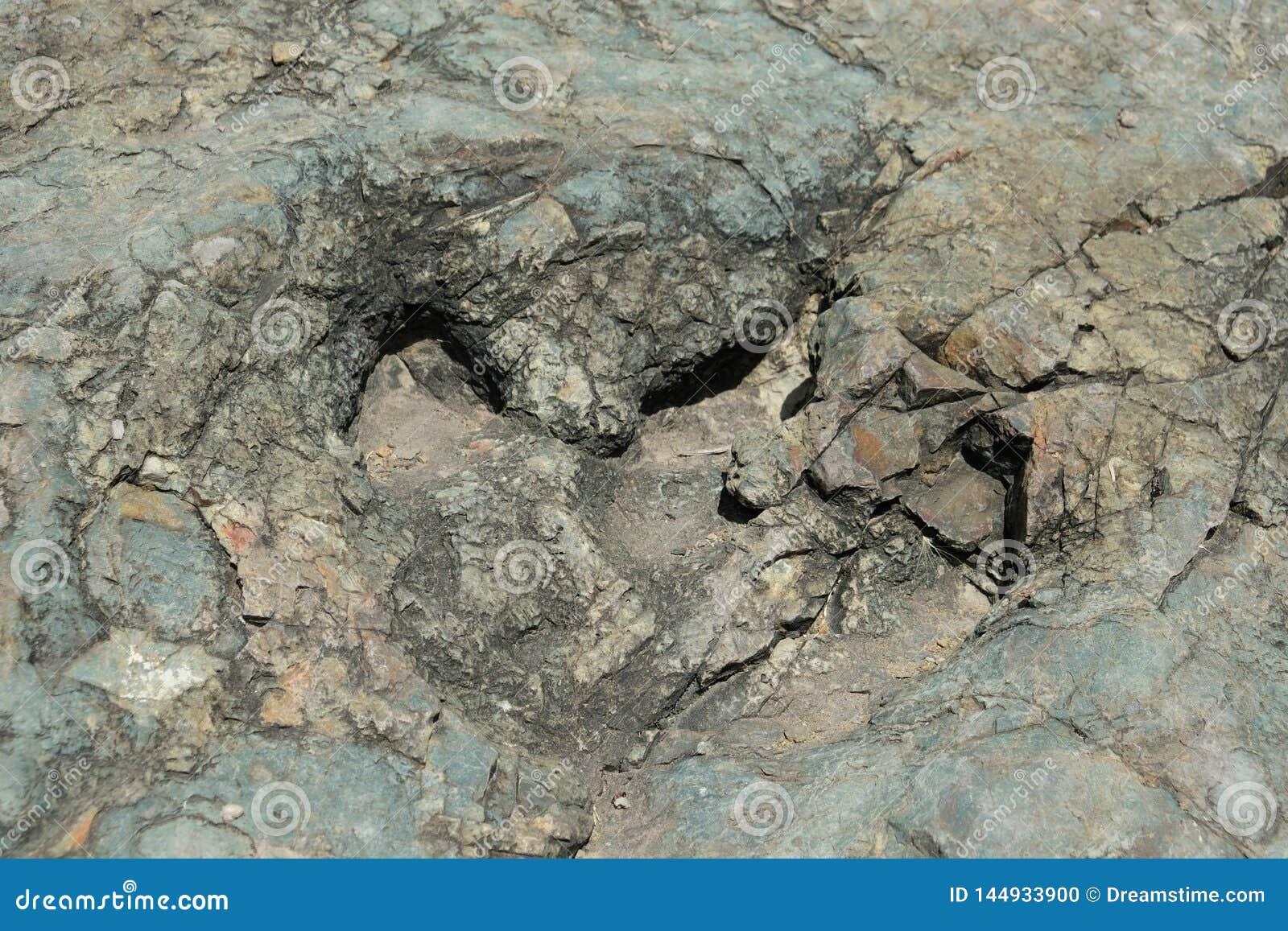 dinosaur print fossil in maragua crater. bolivia