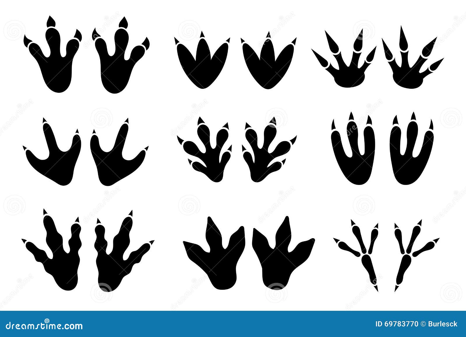 dinosaur footprint tracks  set