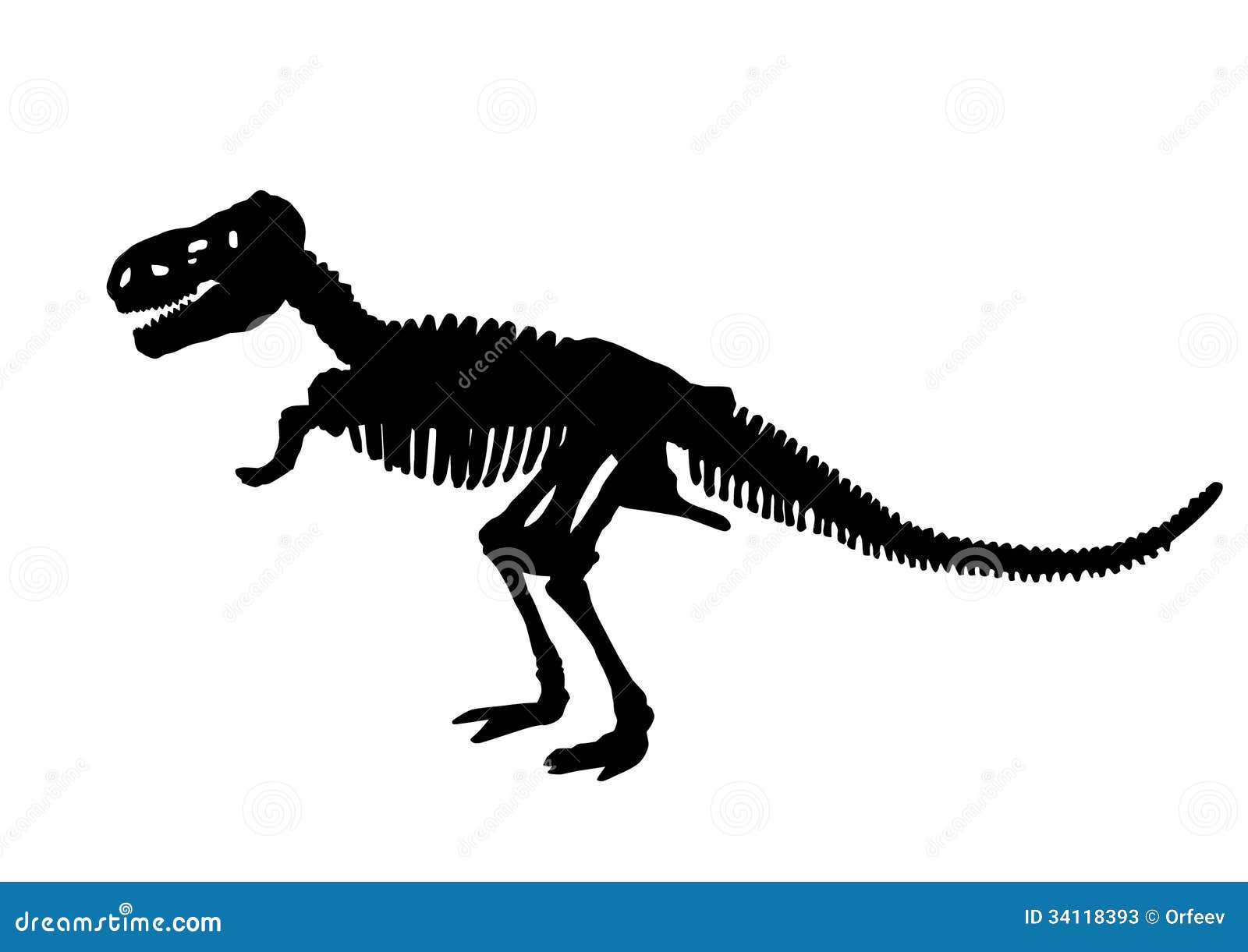 Dinosaur Skeleton Silhouette Stock Vector Illustration Of Fearsome Head 34118393