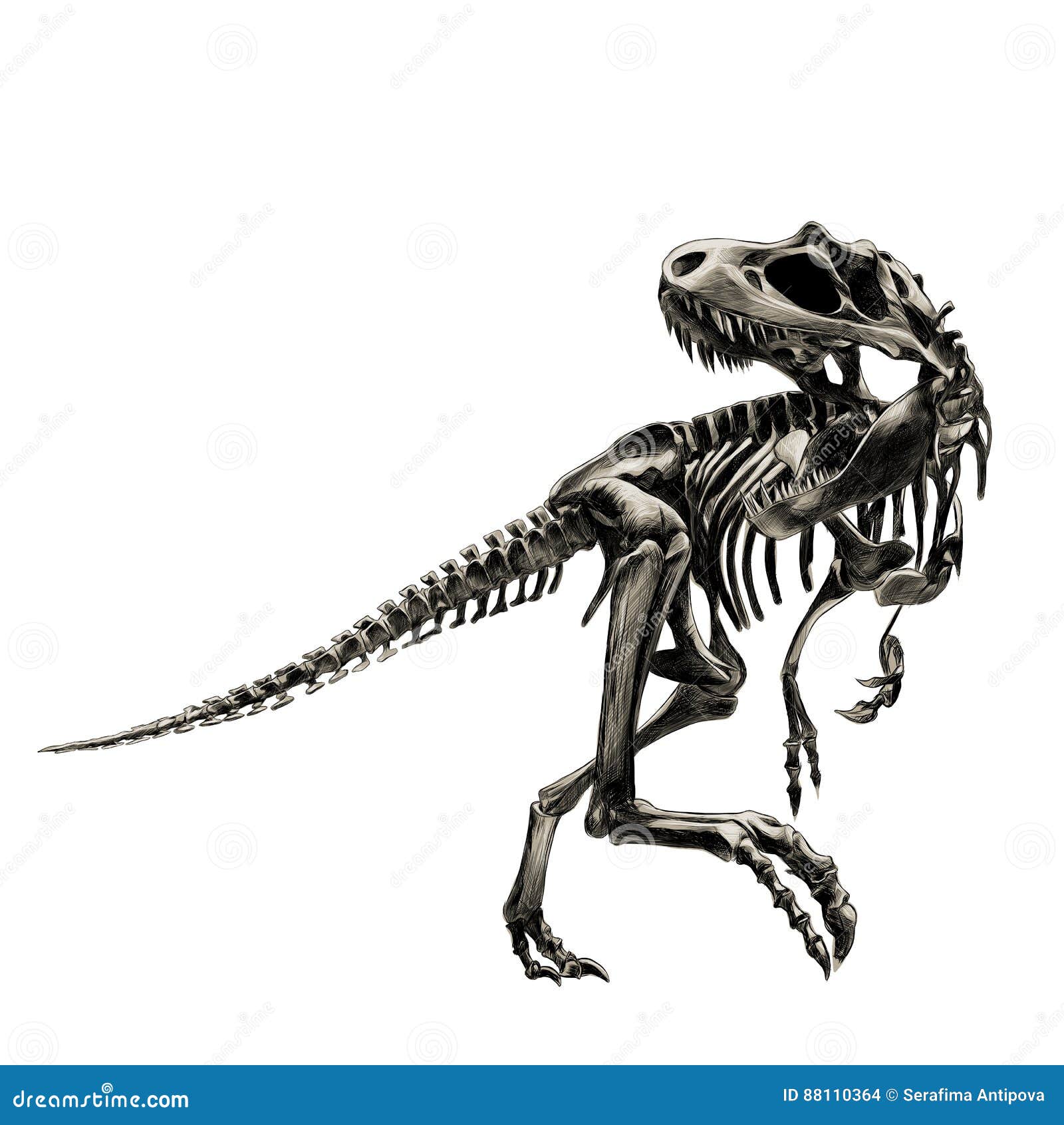 Dinosaur Run Fast Stock Illustrations – 67 Dinosaur Run Fast Stock  Illustrations, Vectors & Clipart - Dreamstime