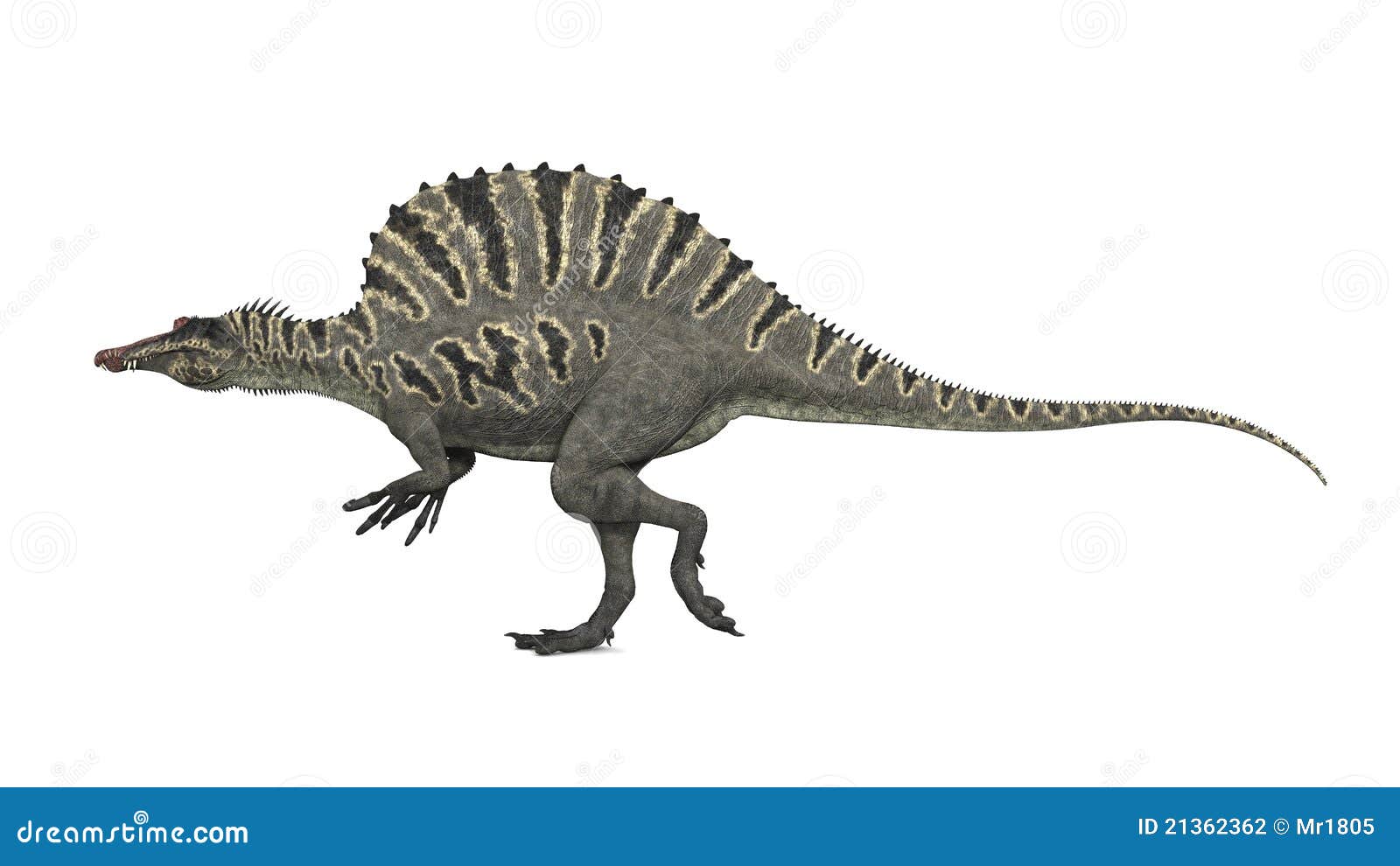 Spinosaurus Big Dangerous Dino Dinosaur Cartoon Vector CartoonDealer