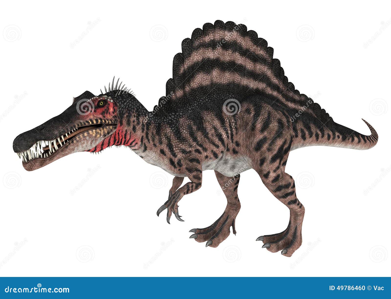 dinosaur with a spiny back
