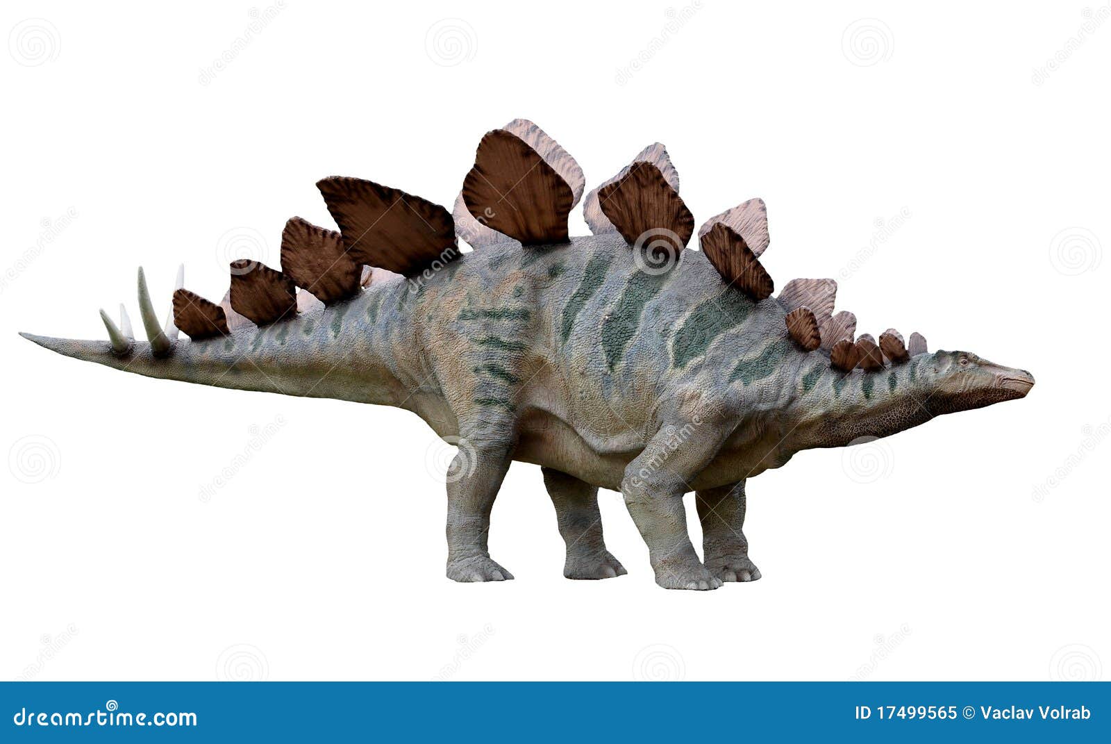 dinosaur stegosaurus