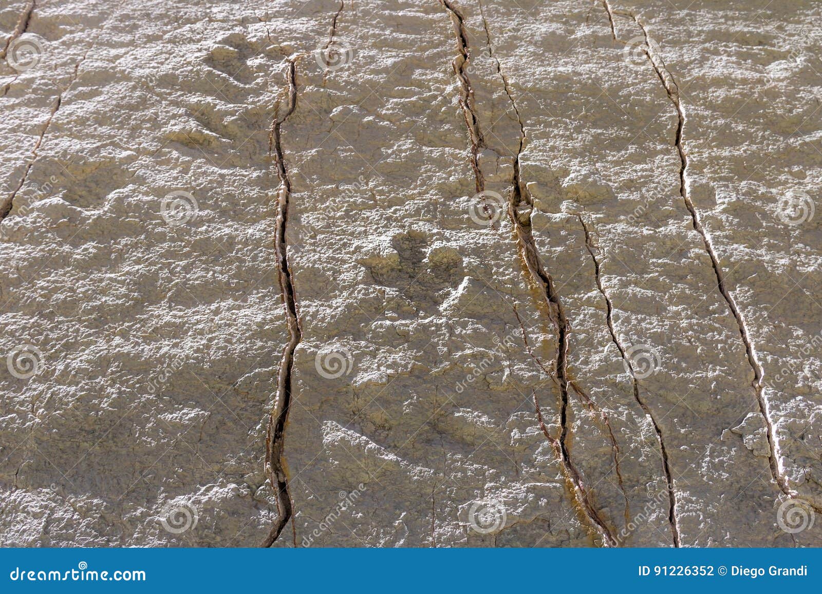 dinosaur tracks on cal orcko wall - sucre, bolivia