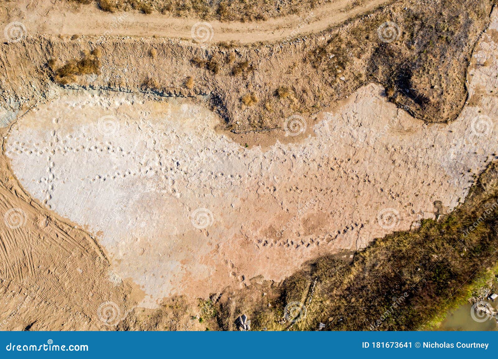 dinosaur tracks of comanche national grassland.  la junta, colorado.  aerial drone photo